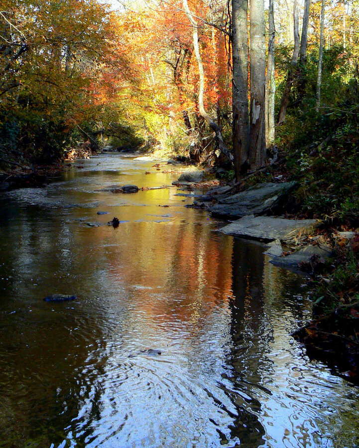 Reems Creek