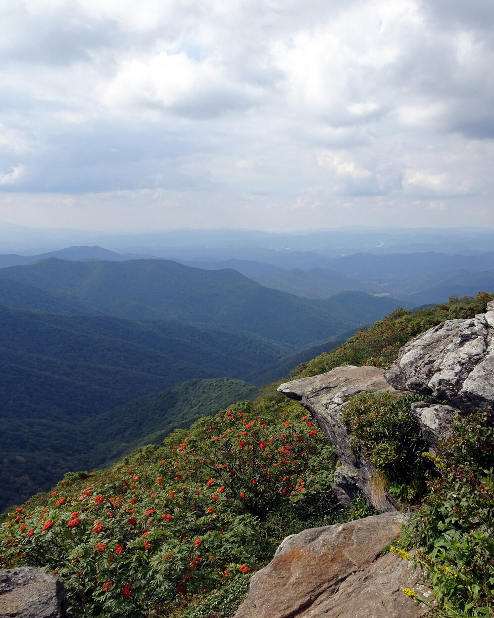 Craggy Gardens