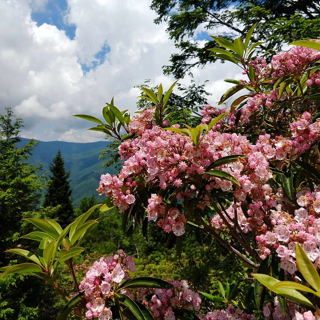 Blue Ridge Parkway