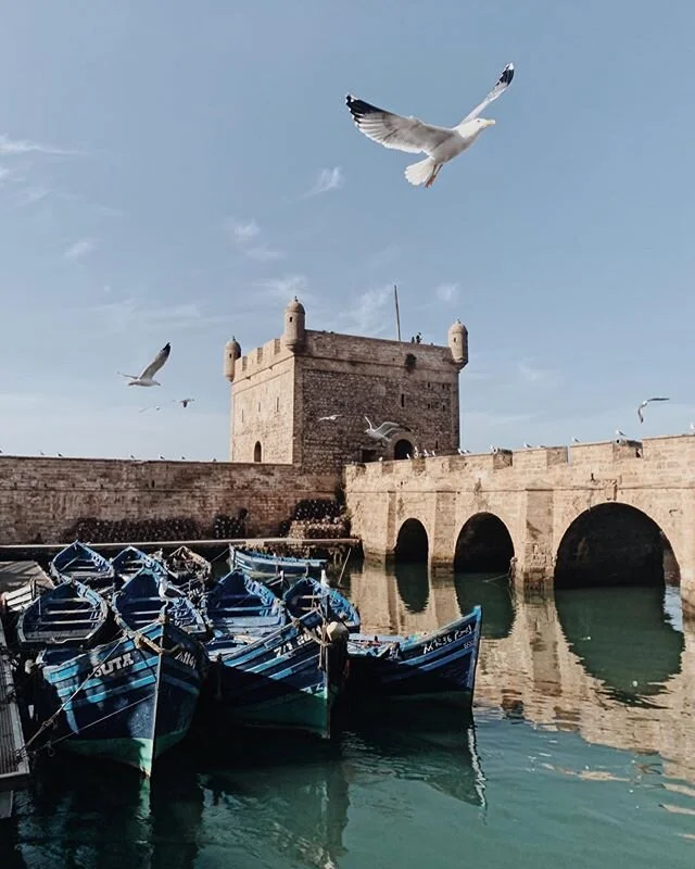 I can still hear seagulls in my sleep. 
#essaouira #morocco #port #beach #thefreshestfish #fishing #photography #shotoniphone #beachtown #travel #travelphotography #vsco #vscodaily