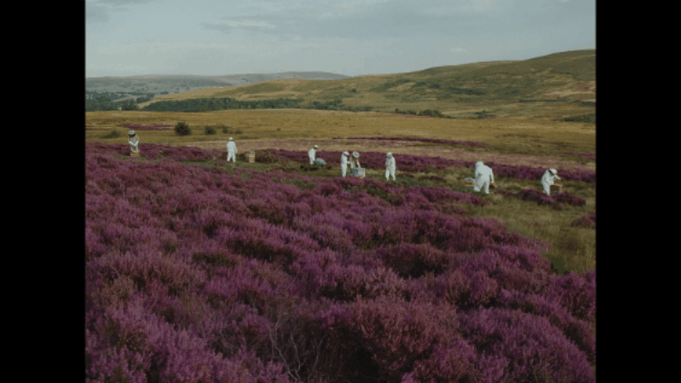 BT - Protecting Brilliant Things