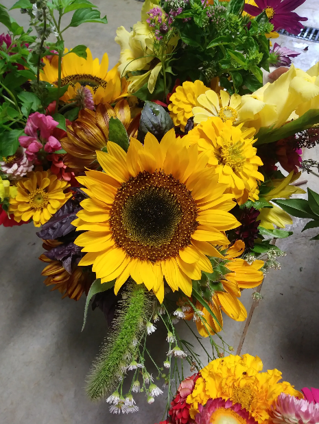 Bouquet card for 4 large in-season bouquets donated by Trails End Flower Farm