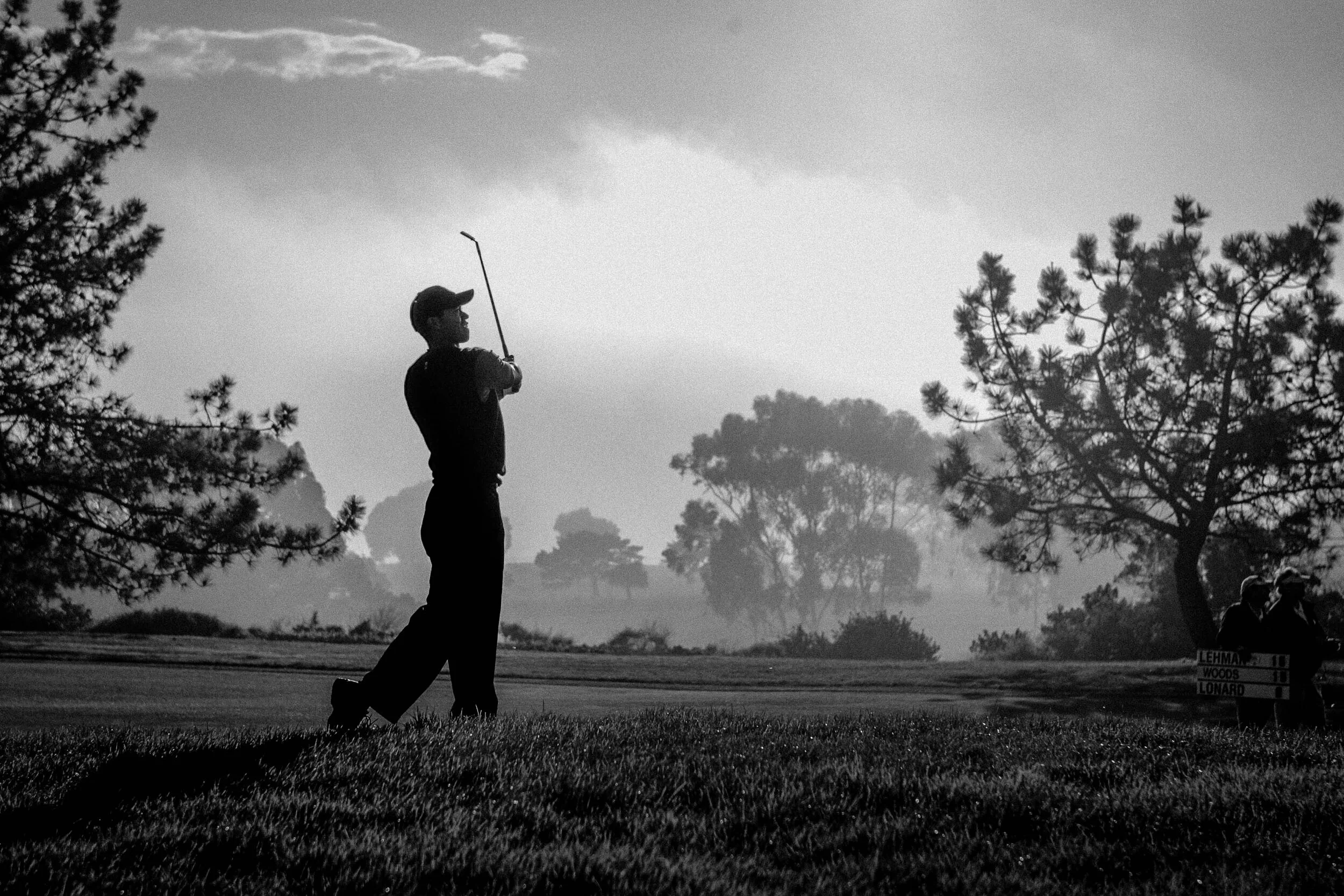 Professional Athlete Campaign © 2026 Tim Tadder