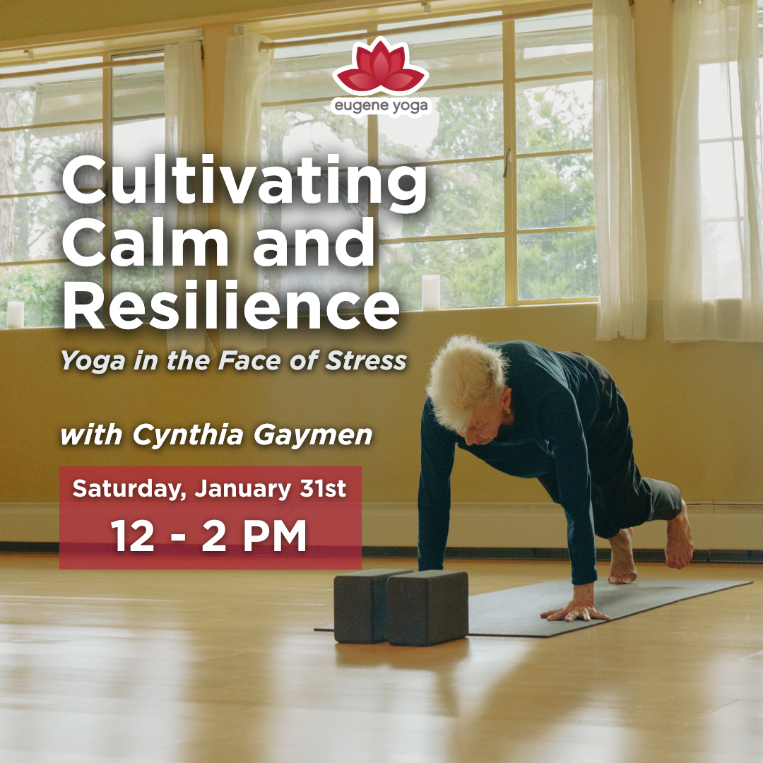 An elderly woman practicing yoga in a sunlit room with large windows and white curtains, demonstrating a plank pose on a yoga mat with yoga blocks nearby. The overlay text promotes a yoga event titled 'Cultivating Calm and Resilience' with Cynthia Gaymen, scheduled for Saturday, January 31st from 12 to 2 PM, organized by Eugene Yoga.