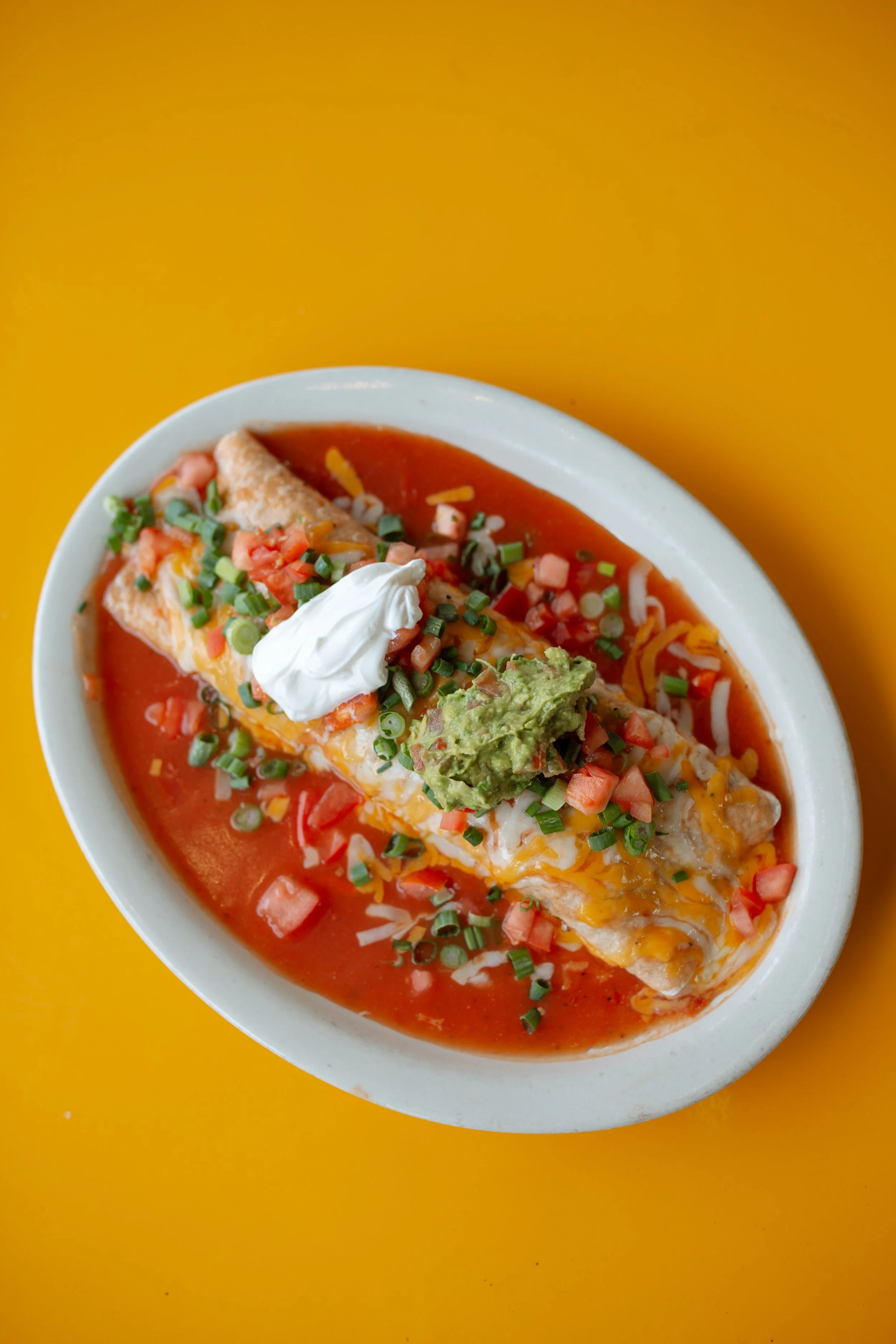 Mexican style burrito with cheese, salsa, sour cream, and guacamole
