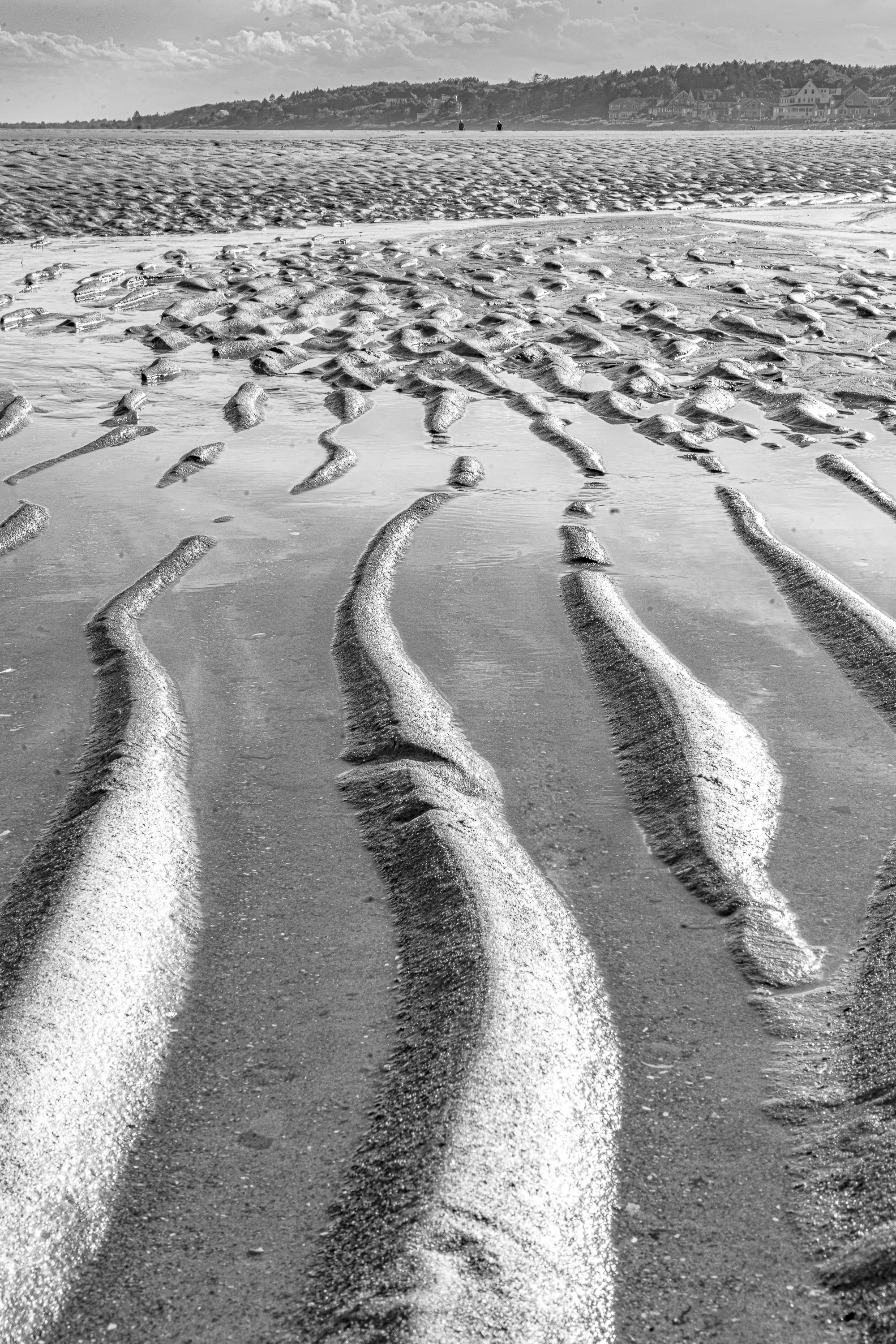 higgins-ripples.jpg