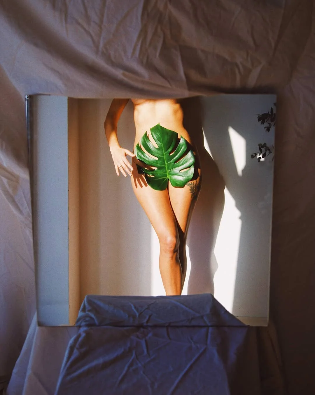 ⭐ &Uacute;ltimo d&iacute;a del takeover de  @delfinacarmona ⭐

EL CUERPO

El cuerpo humano y sus posibilidades me genera una fascinaci&oacute;n como pocas cosas lo hacen en este mundo. Y me inspira much&iacute;simo tambi&eacute;n su desnudez, su frag