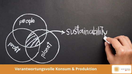 Für nachhaltige Konsum- und Produktionsmuster sorgen