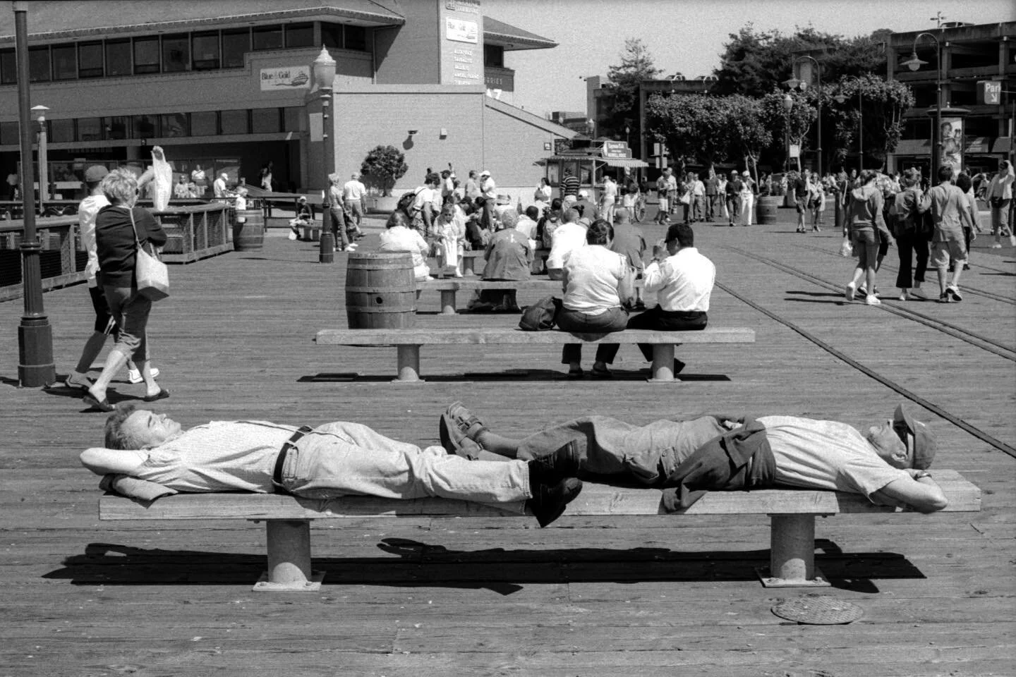 San Francisco, CA. July 16, 2003.