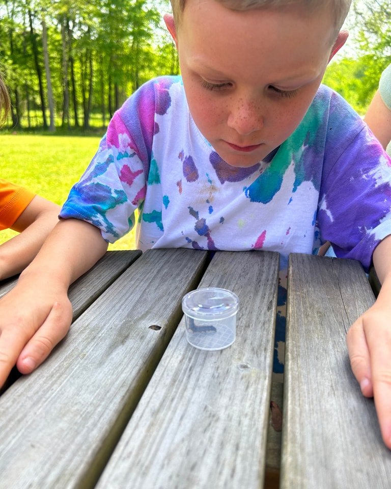 Exploring the outdoors connects children to the earth and gives them an understanding of the outside world around them. Even a tiny caterpillar has lots to teach our eager young learners! 

 #montessori #beaconacademy #beaconacademync #ncschools #mon