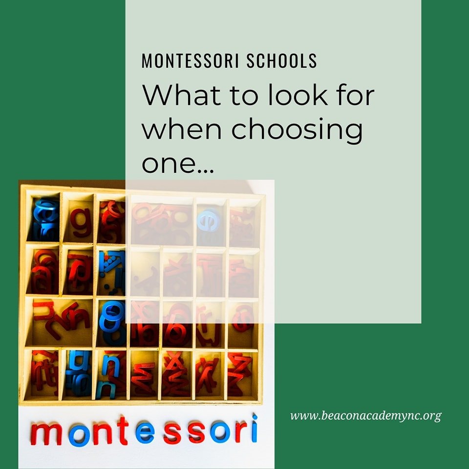 What to look for in a Montessori School
(Why Montessori and Acton work well together)

www.beaconacademync.org/blog/montessori-and-acton-work-well-together

 #beaconacademy #montessori #beaconacademync