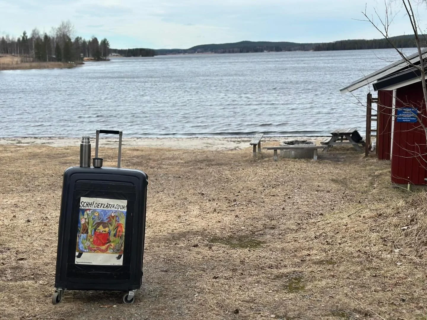 Idag fick vi fin utsikt &ouml;ver Bj&auml;nnsj&ouml;n efter tv&aring; skrattfyllda f&ouml;rest&auml;llningar av Schh! Det l&aring;ter djur!🦜🐜🐩 

Tack!🧡