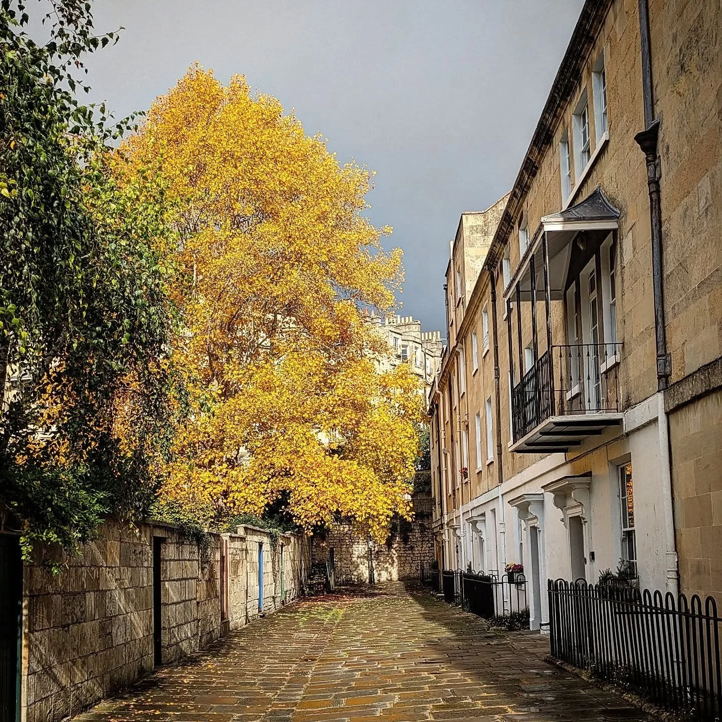 Autumn colours on the back streets of Bath. #bathuk #autumncolors #autumn #thebatharchitect #architectinthecotswolds #cotswoldarchitect #architectinbath #architect #yourlocalarchitect #yourlocalexpert #outandabout