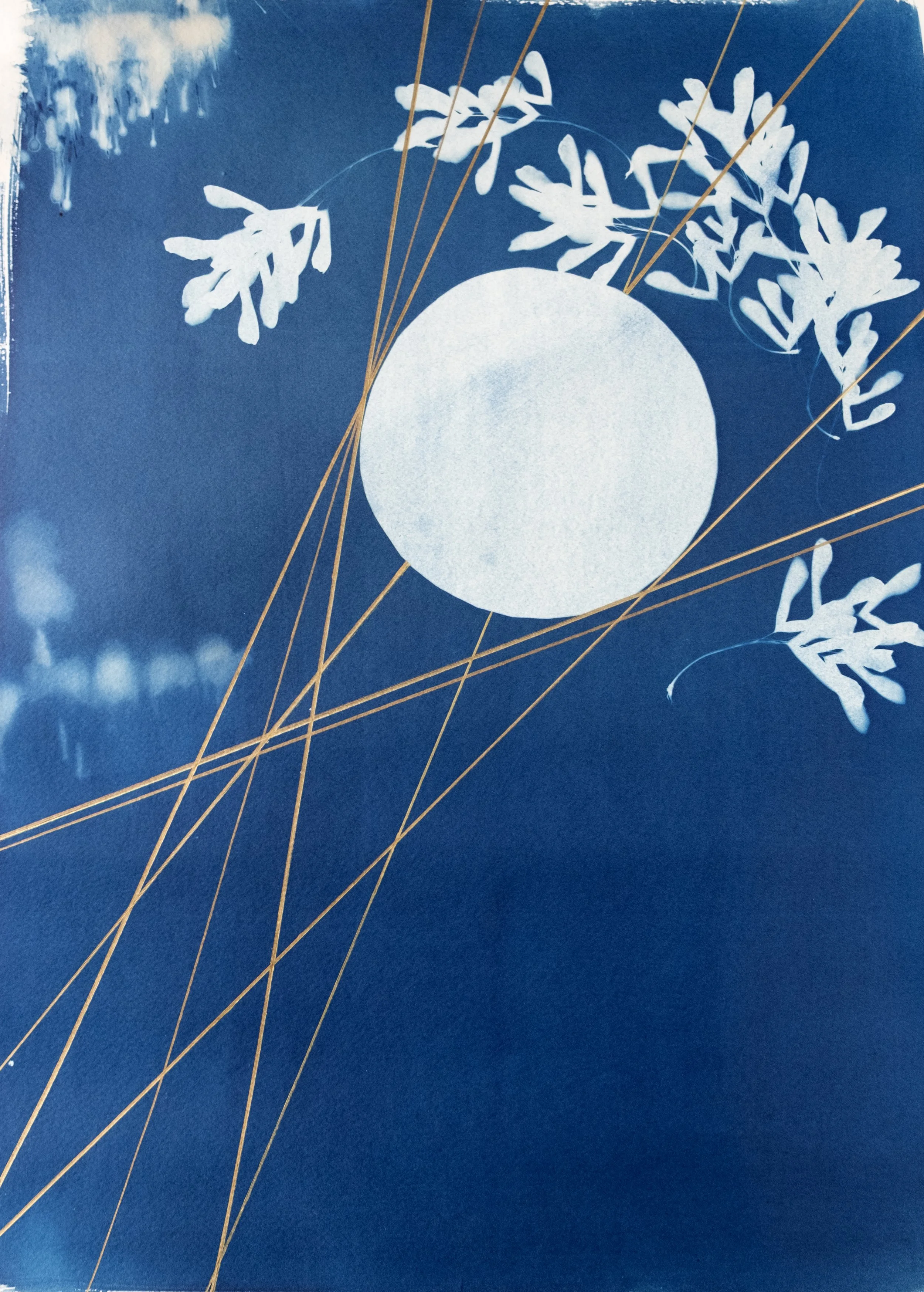 Shifting Energy 2.jpg