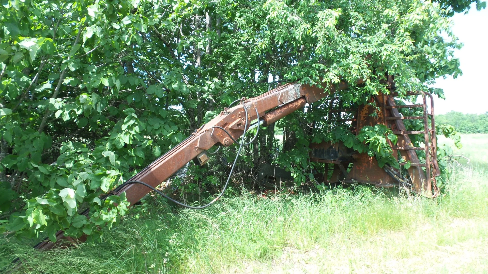 Log Crane