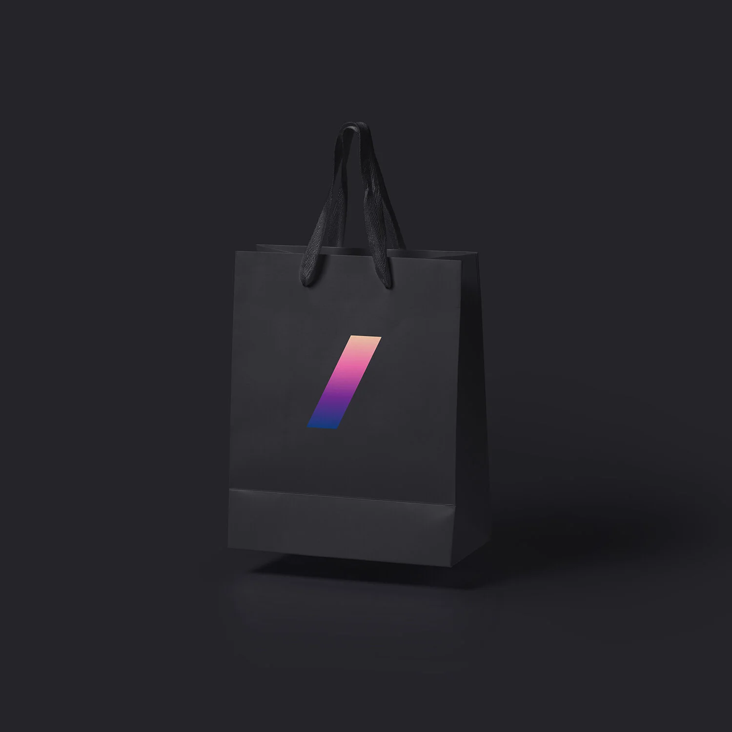 Bag.jpg