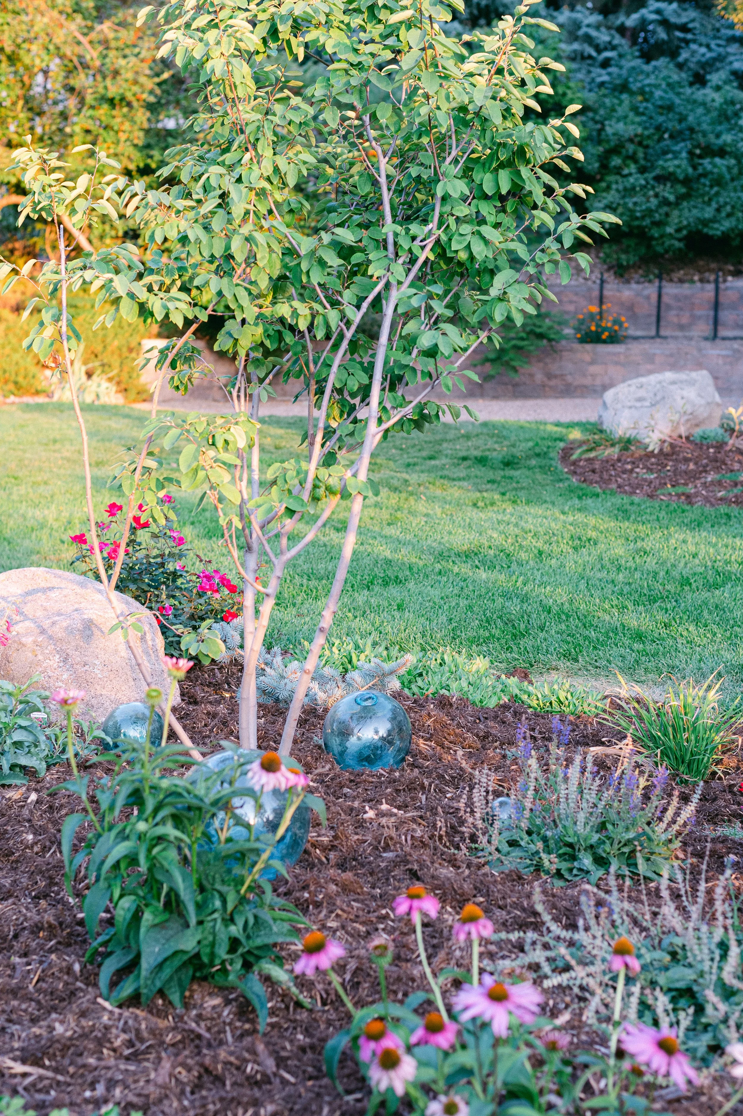 Watershed_Strawberry Lane-41.jpg