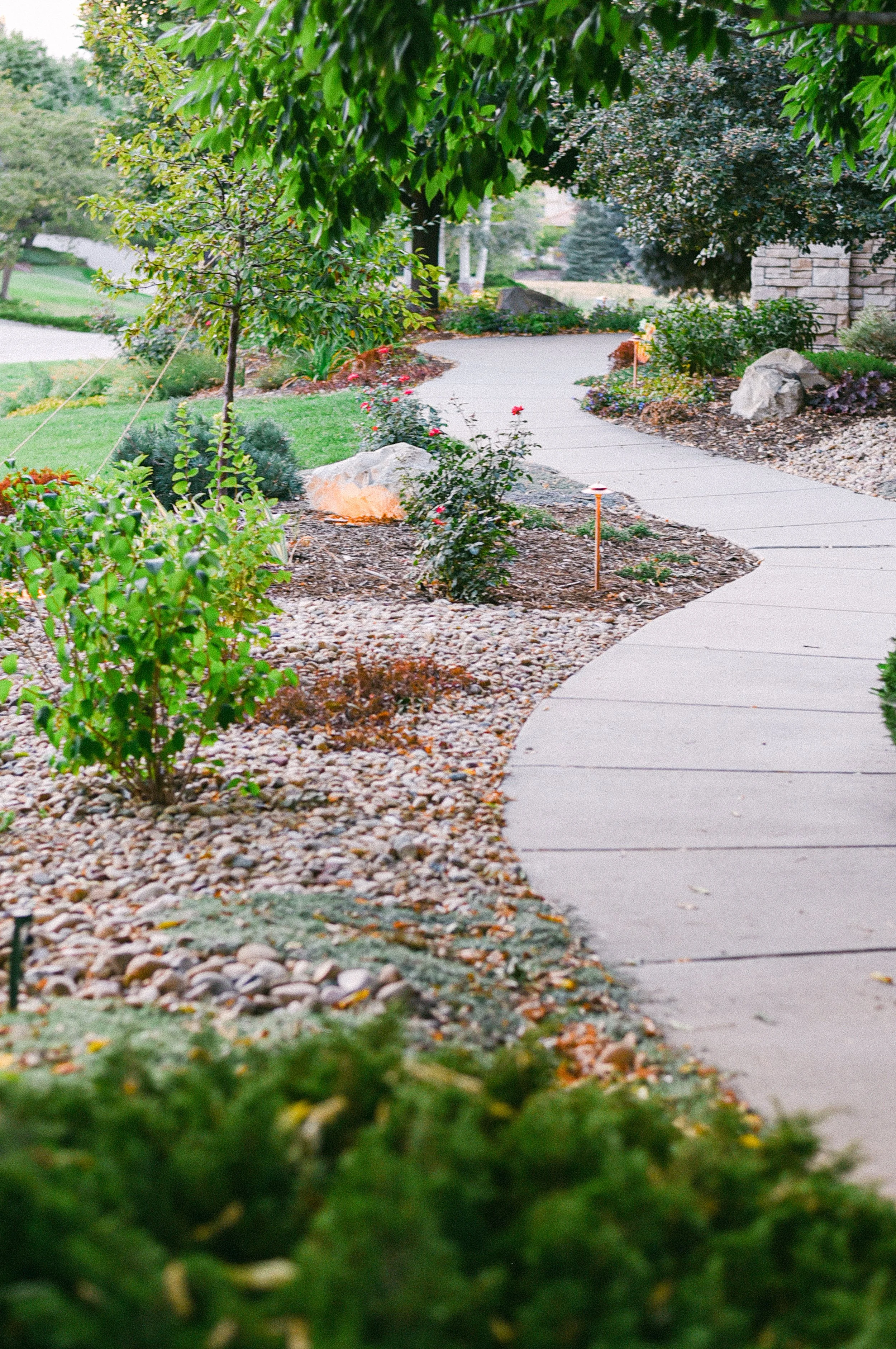 Watershed_Strawberry Lane-107.jpg