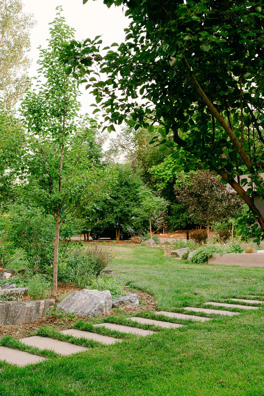 Norwood July 2025-30.jpg