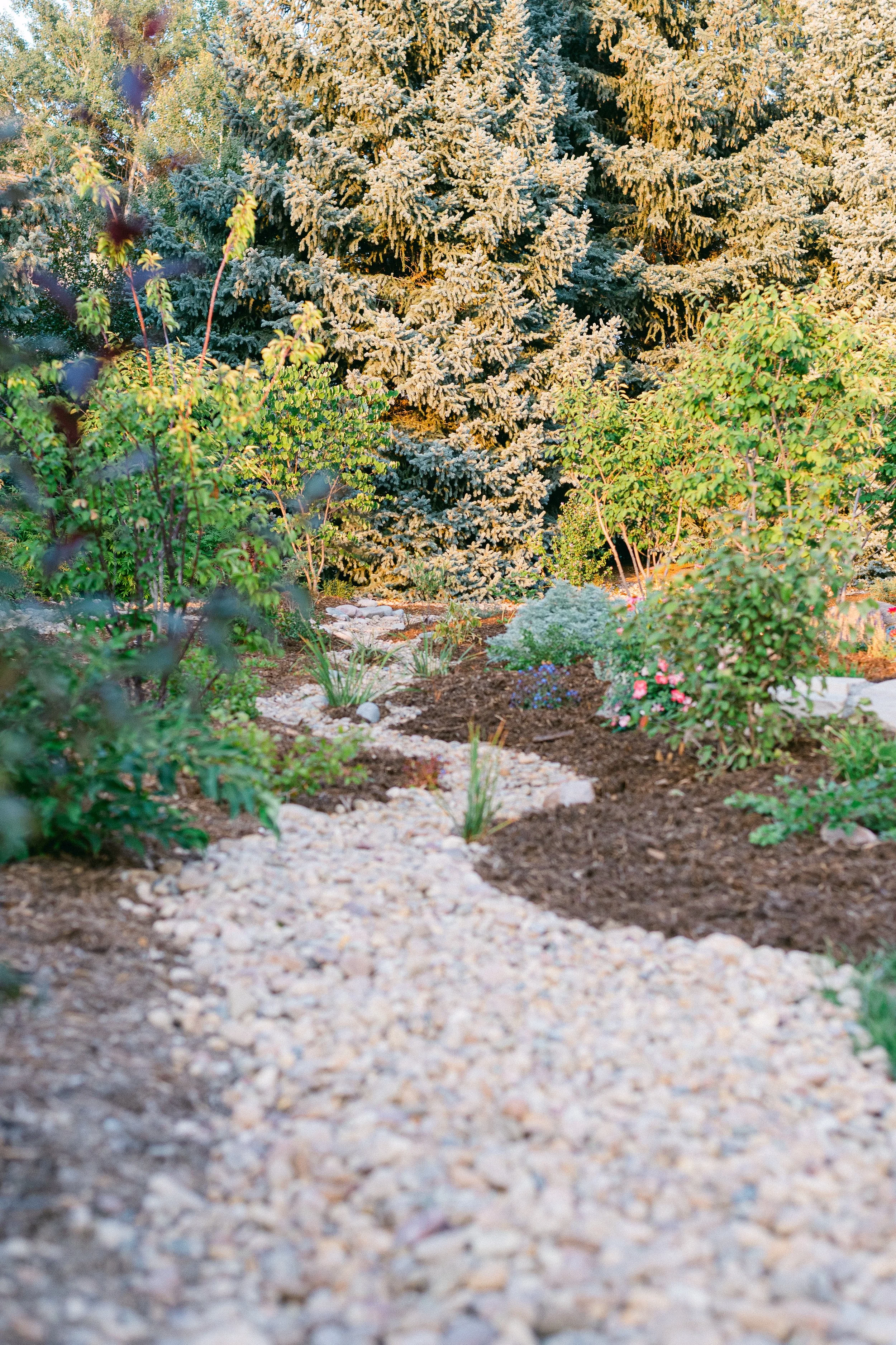 Watershed_Strawberry Lane-29.jpg