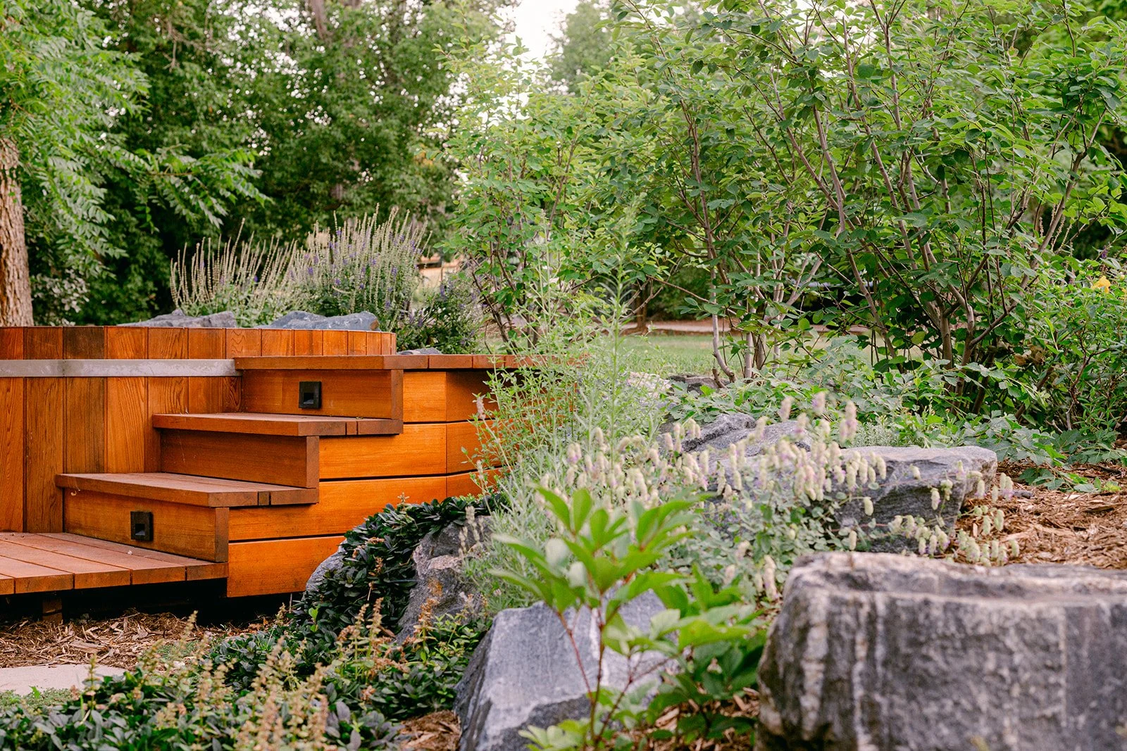 Norwood July 2025-48.jpg