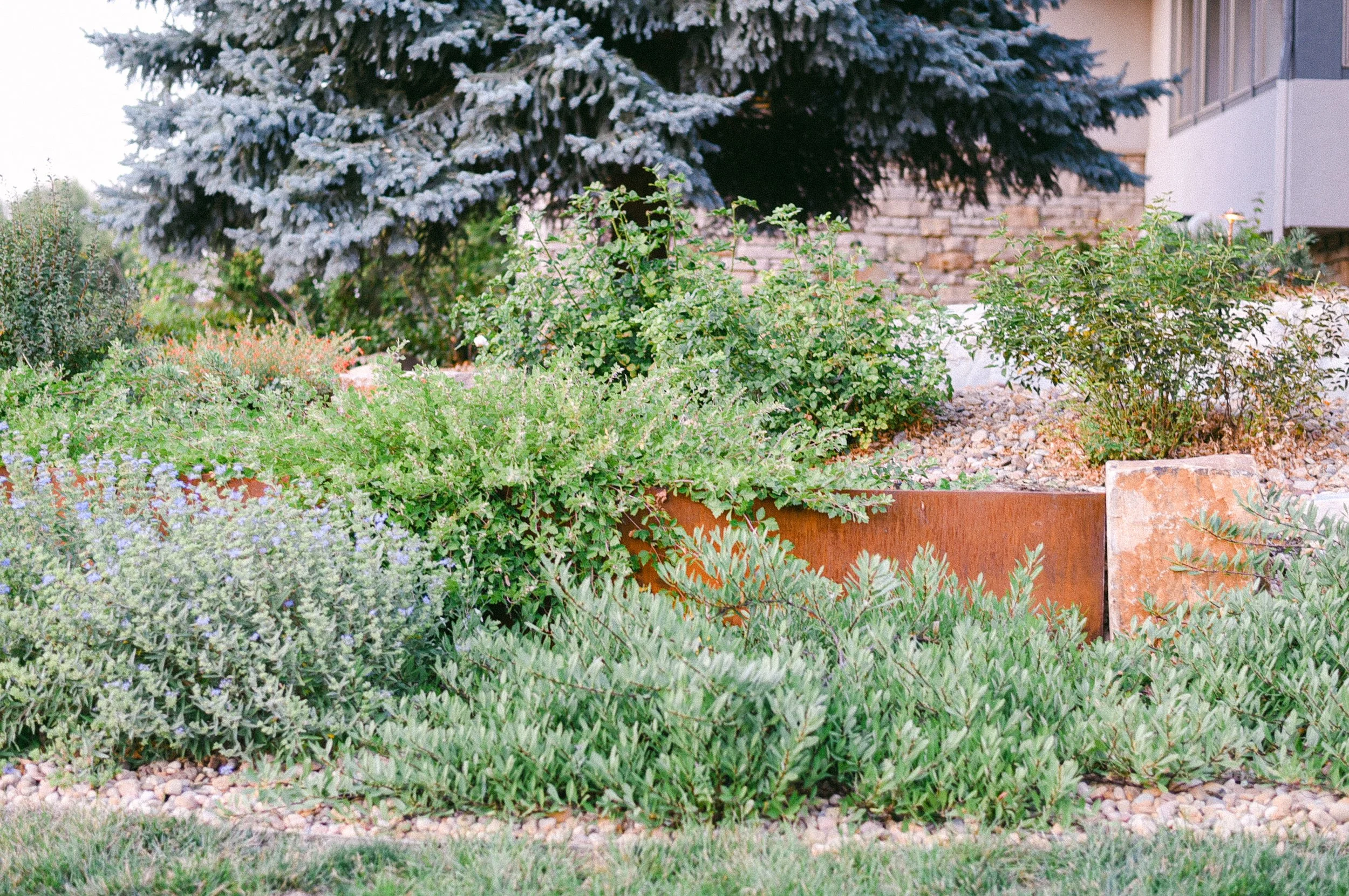 Watershed_Strawberry Lane-93.jpg