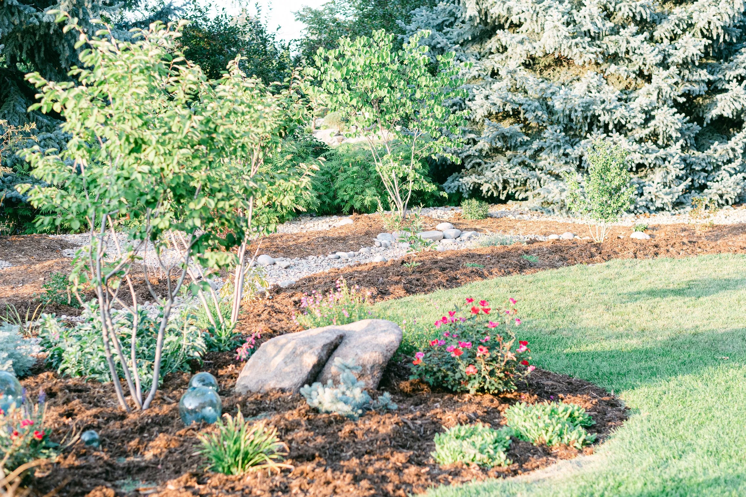 Watershed_Strawberry Lane-2.jpg