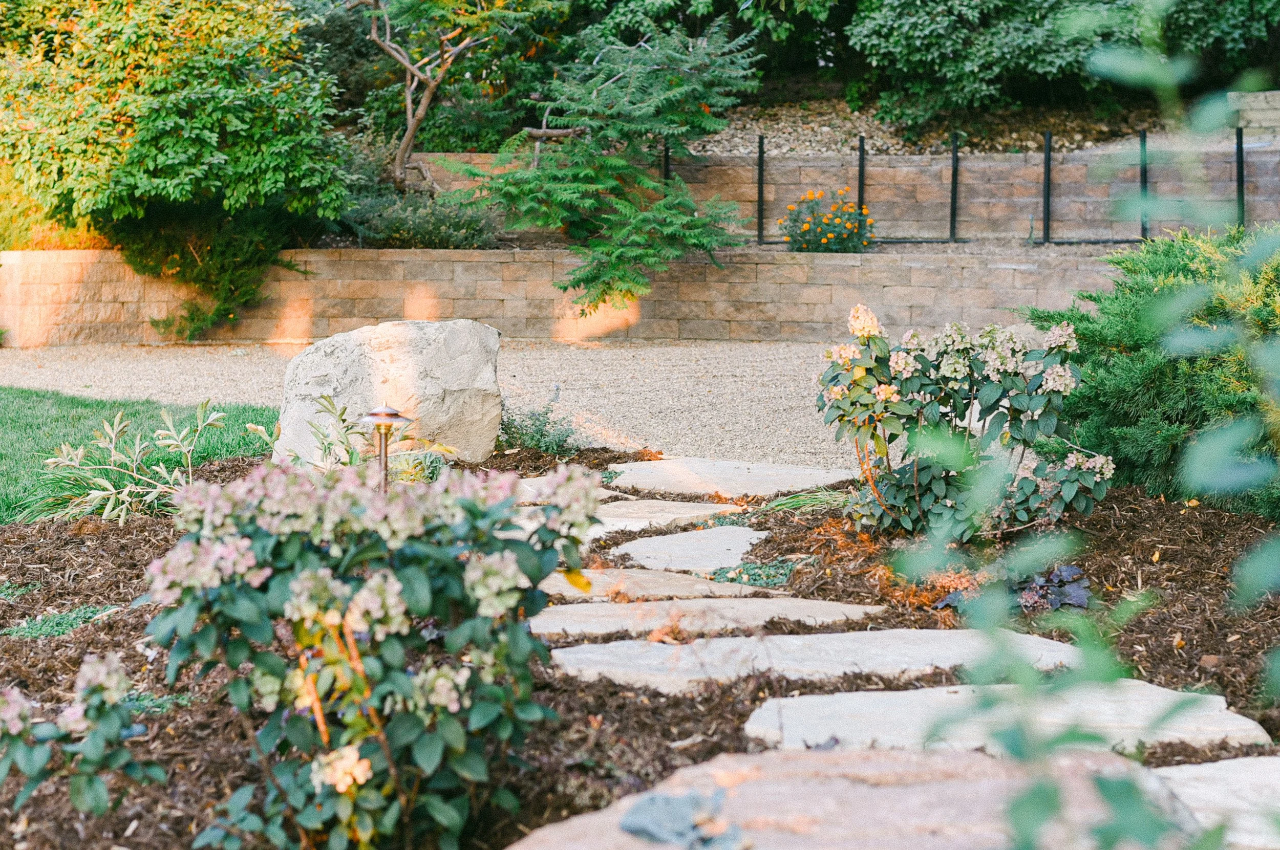 Watershed_Strawberry Lane-70.jpg