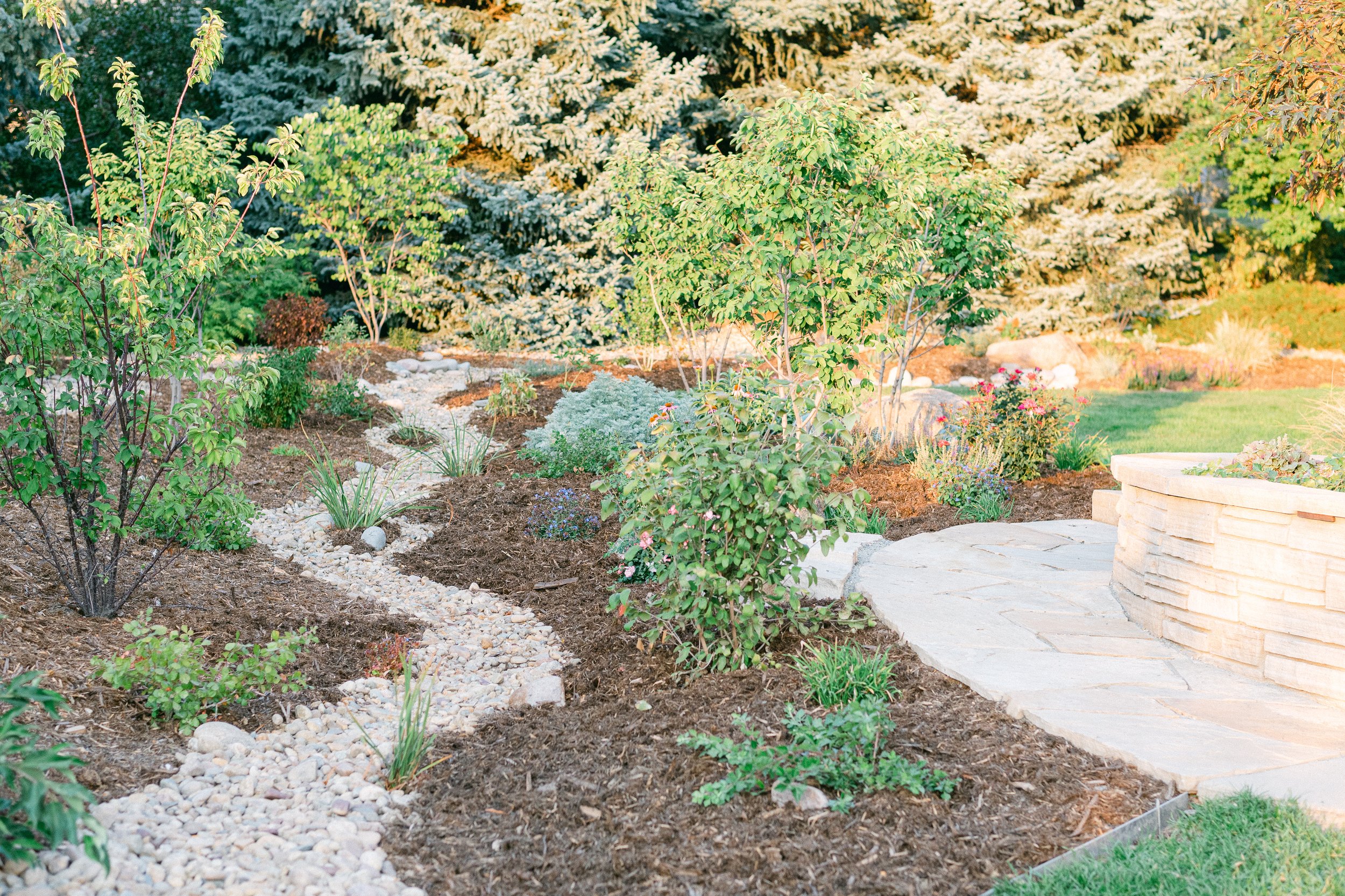 Watershed_Strawberry Lane-28.jpg