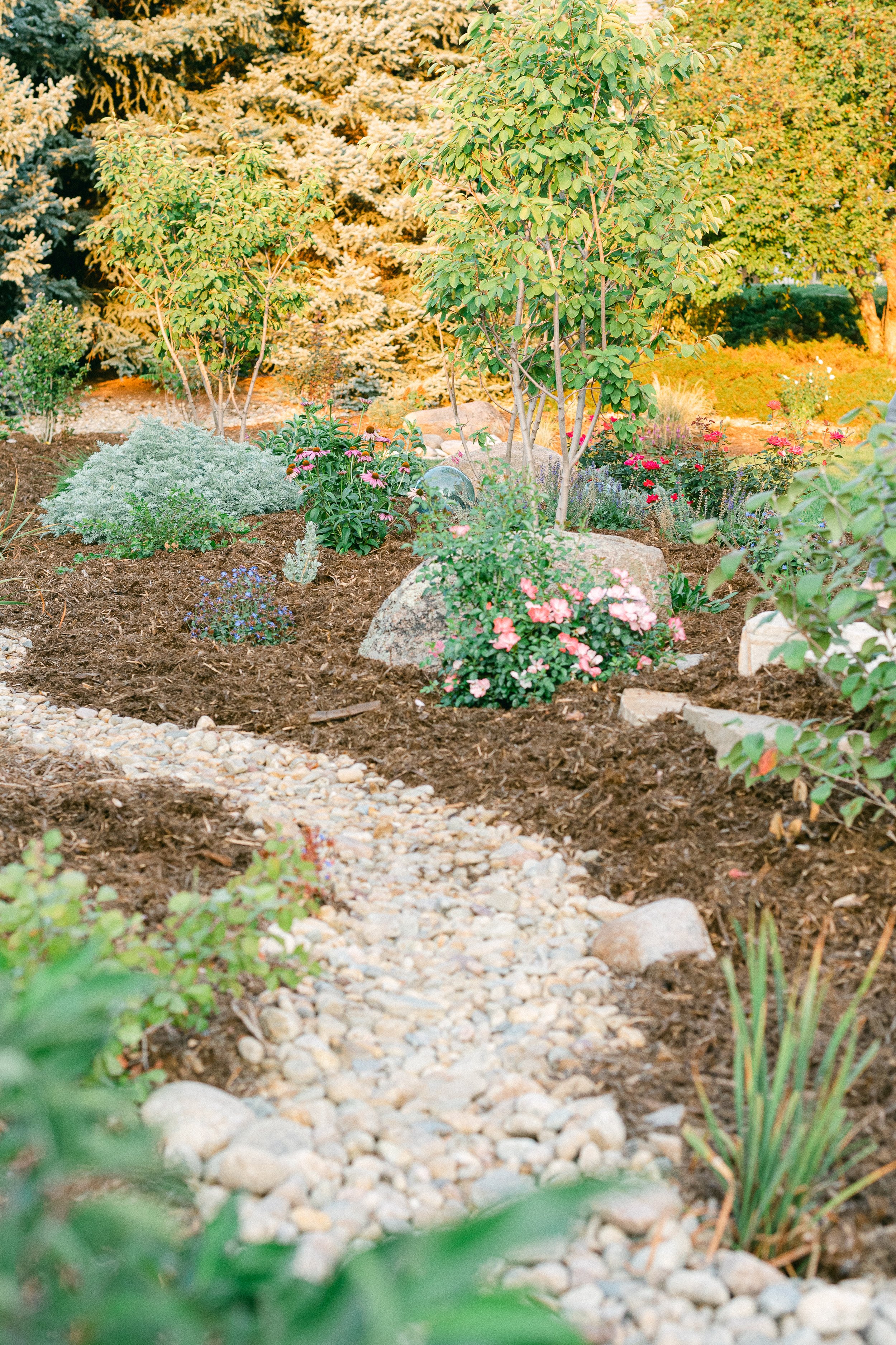 Watershed_Strawberry Lane-53.jpg