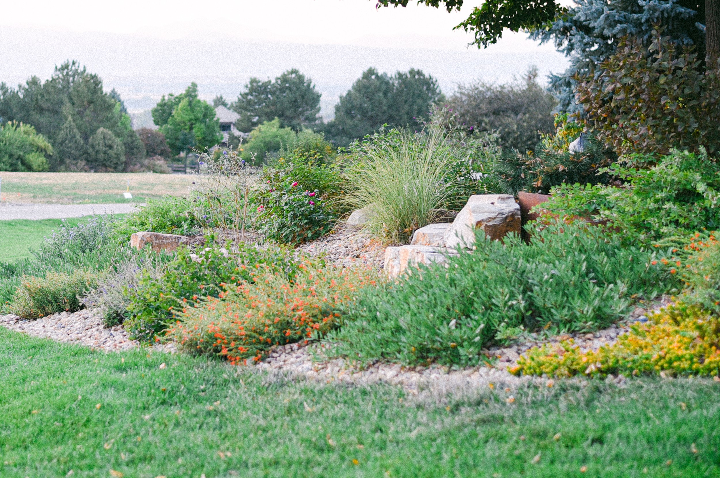 Watershed_Strawberry Lane-104.jpg