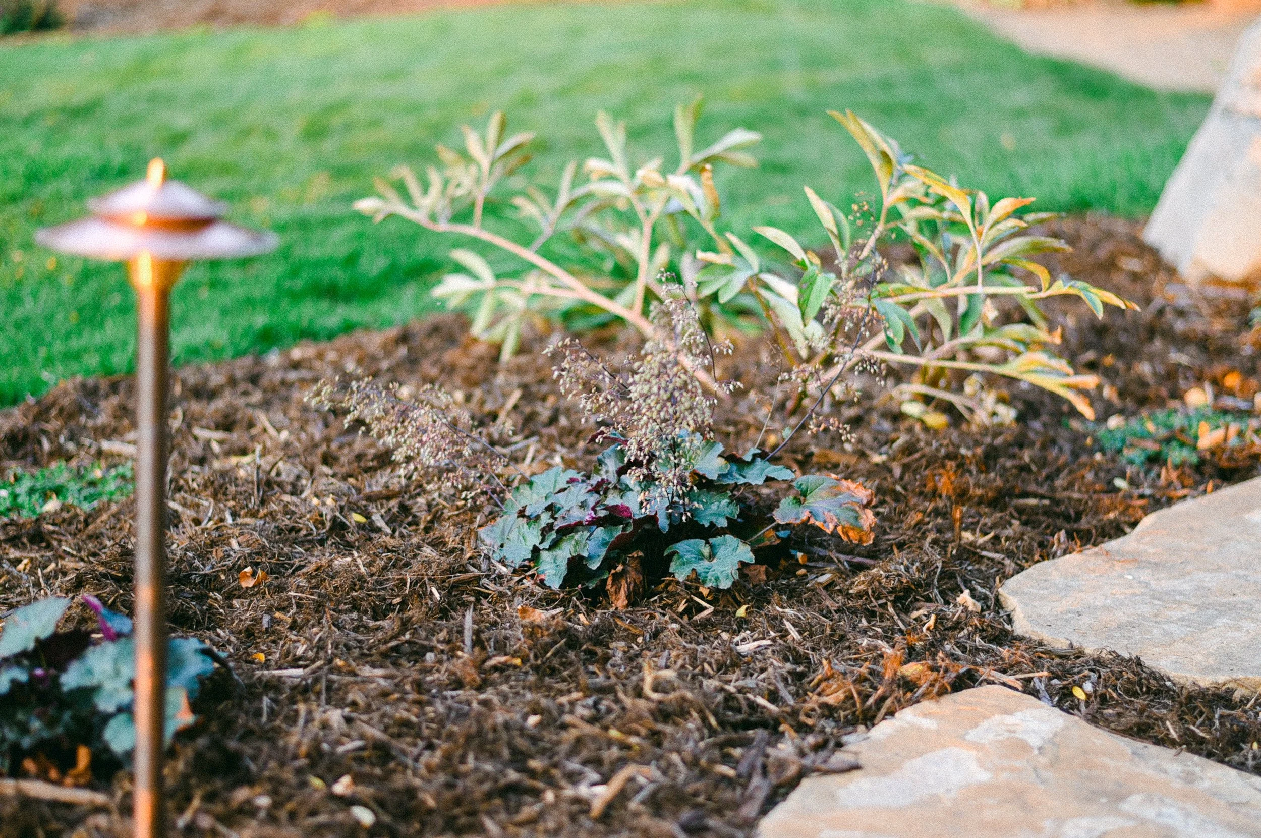 Watershed_Strawberry Lane-73.jpg