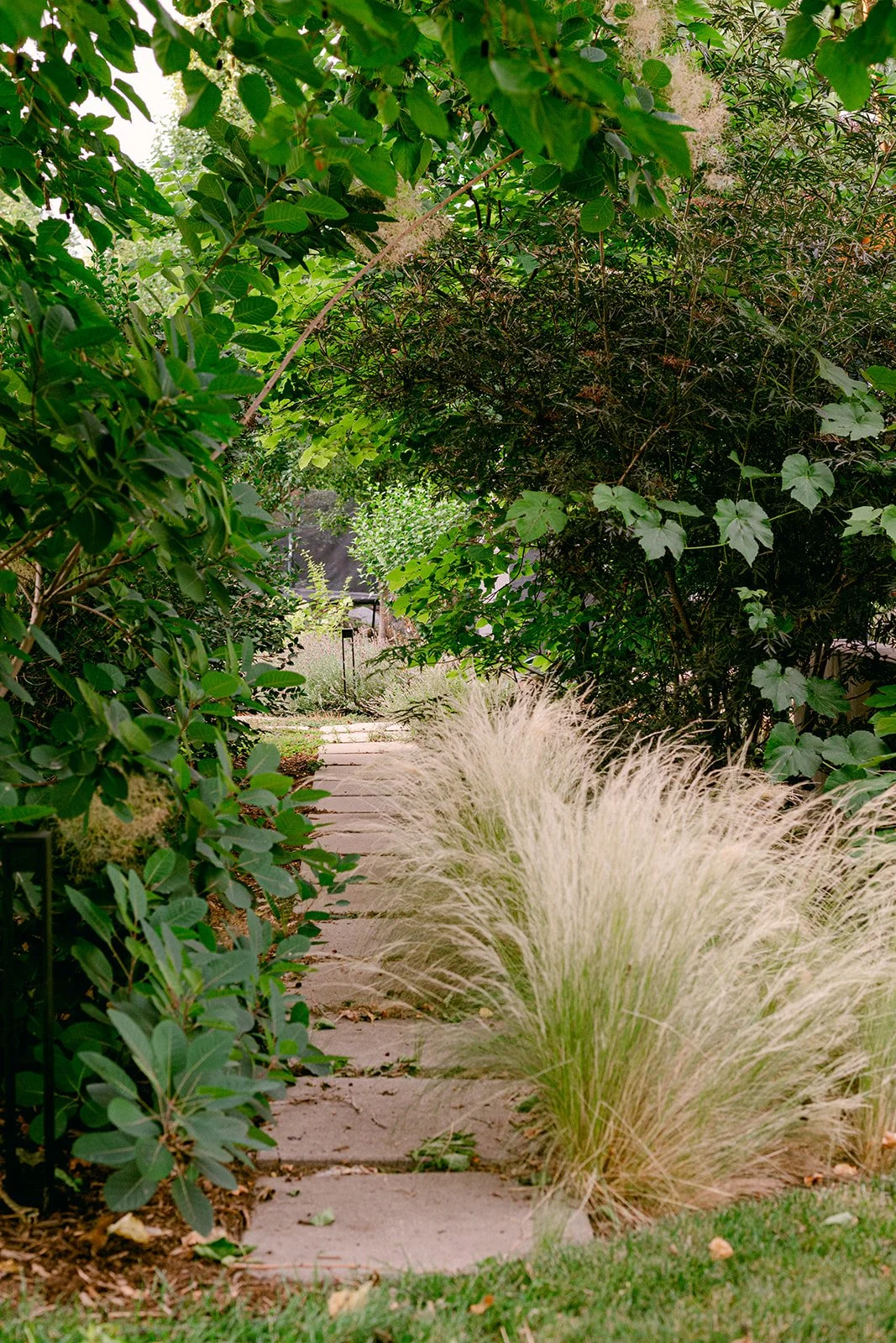 Norwood July 2025-2.jpg