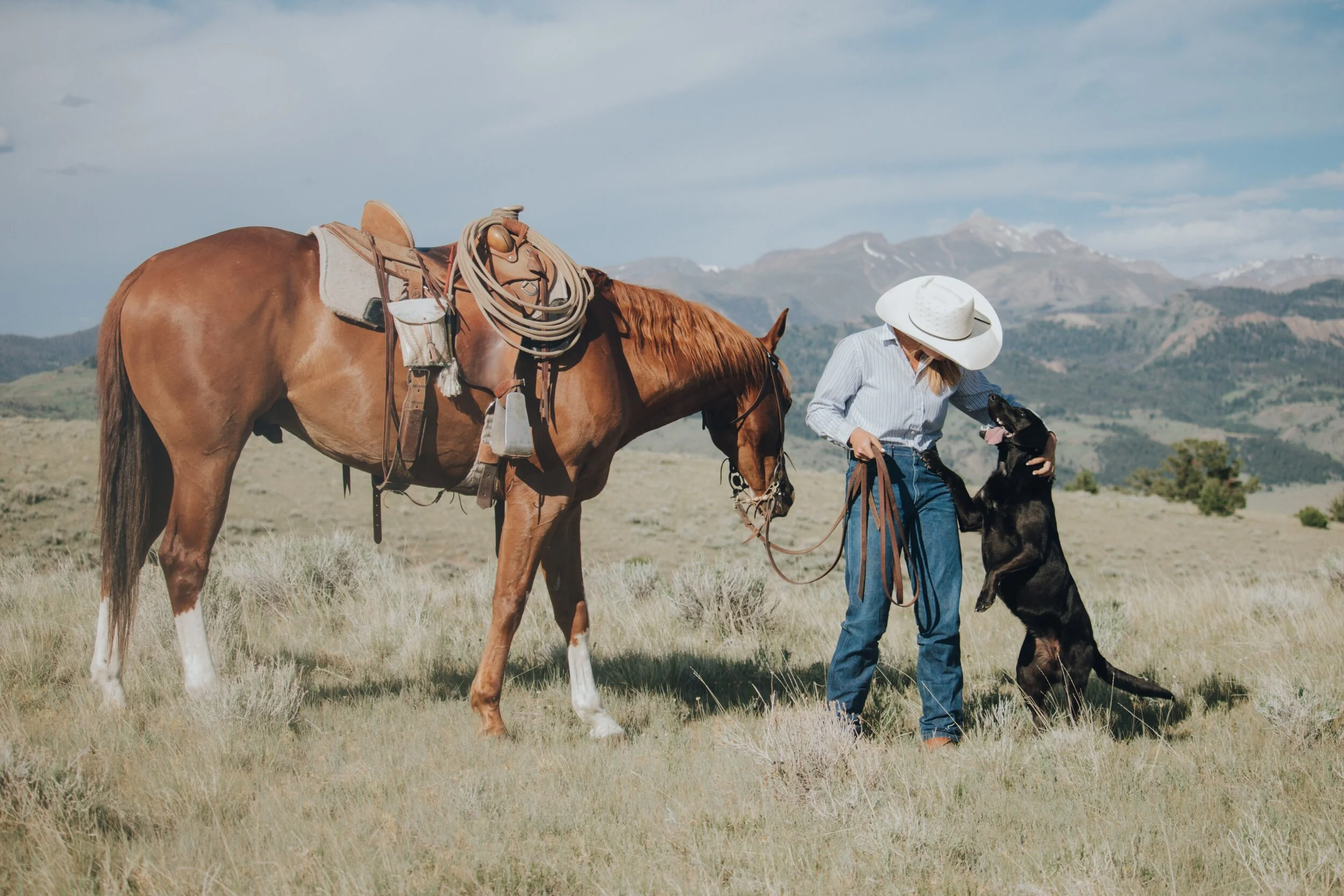 Join The Team — The Pitchfork Ranch