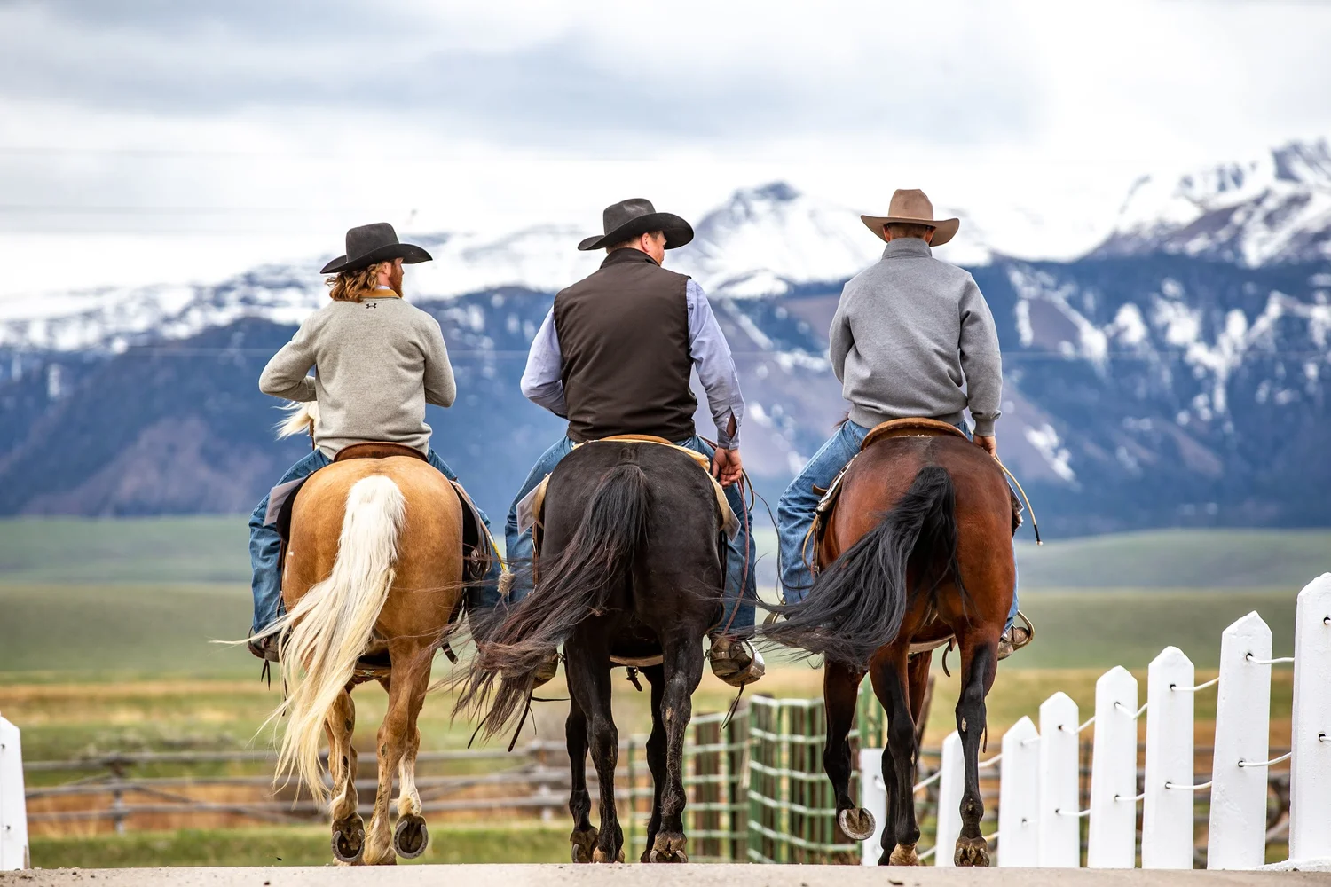 Pitchfork Horse Sale — The Pitchfork Ranch