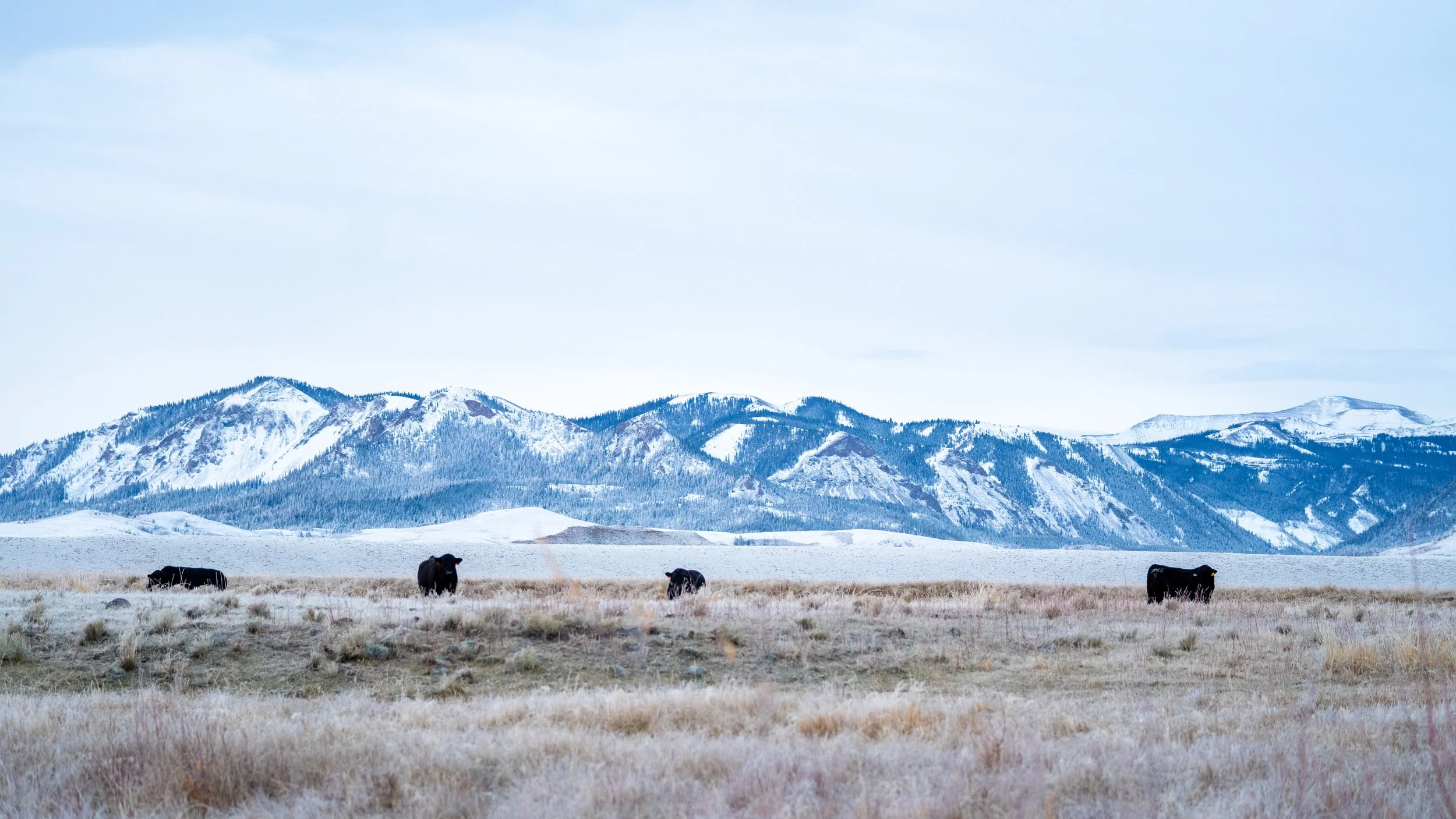 The Pitchfork Ranch