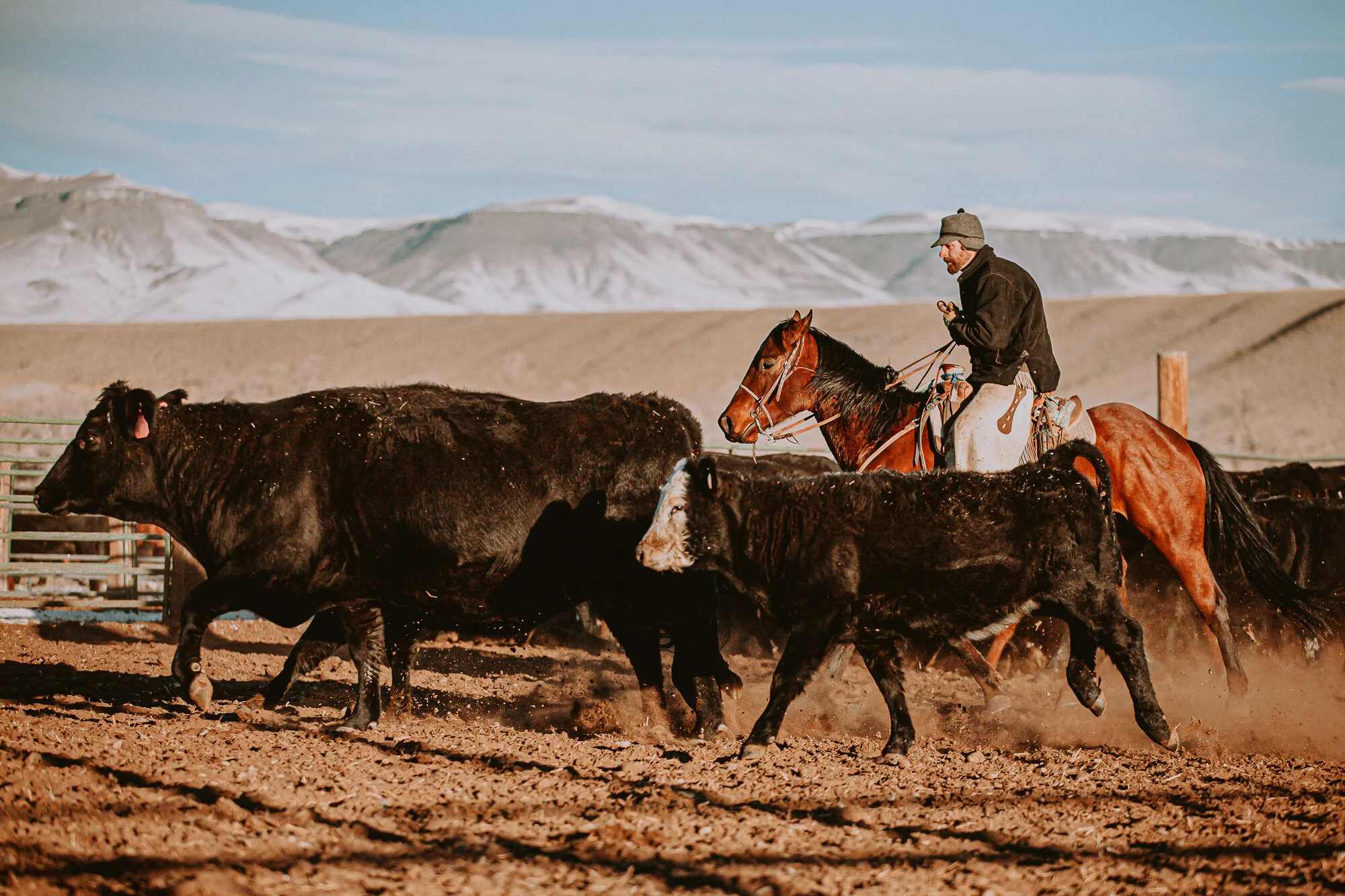 Join The Team — The Pitchfork Ranch