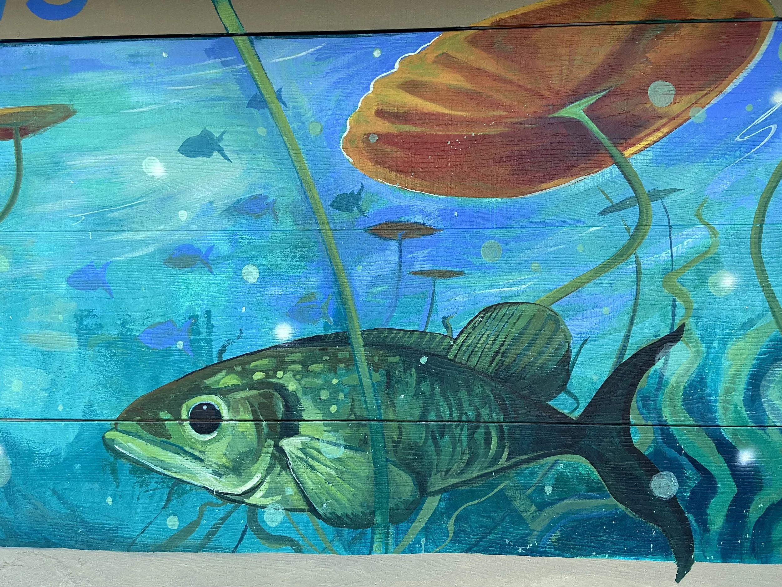 Murals