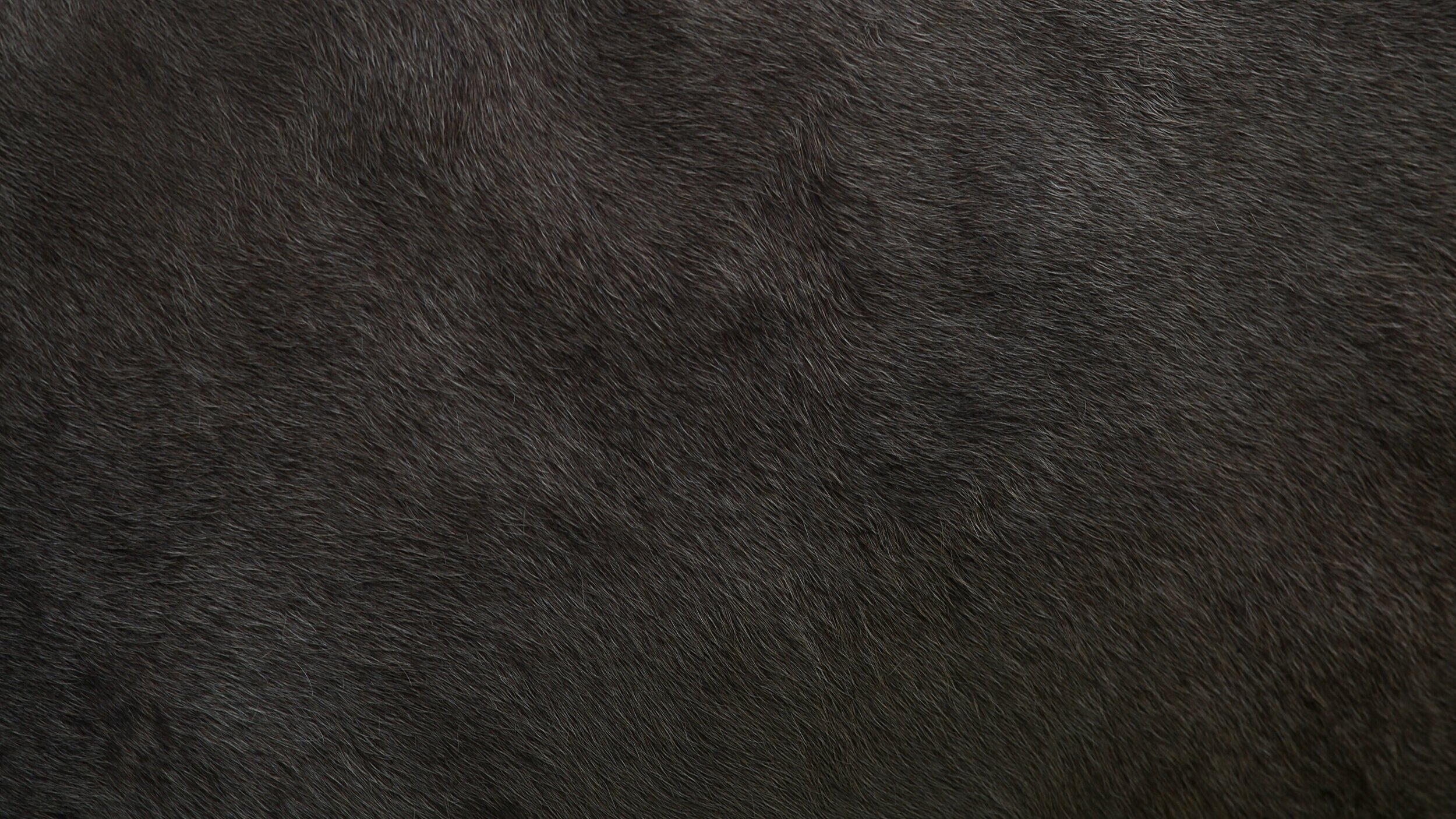 iStock-1145640853.jpg