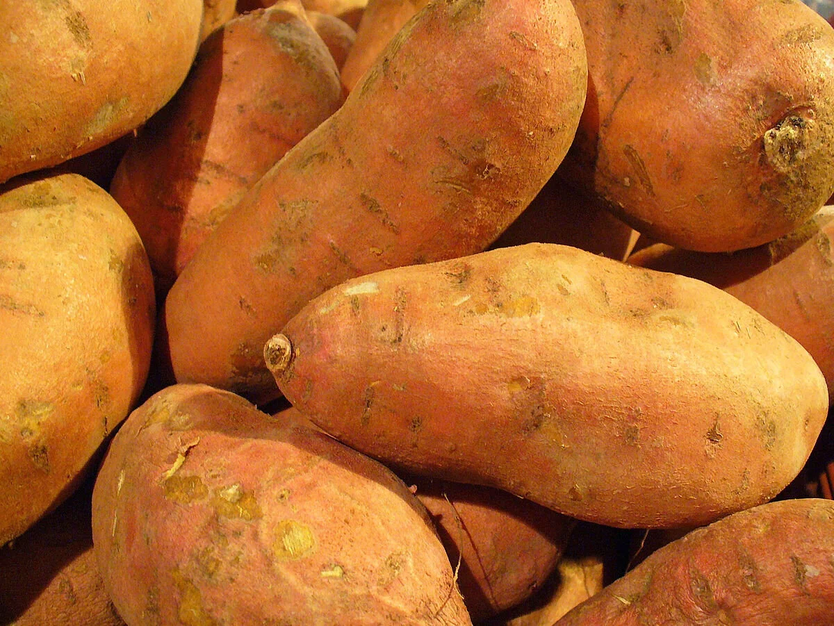 Fresh Plaza: Quality difference in sweet potatoes reflected in price