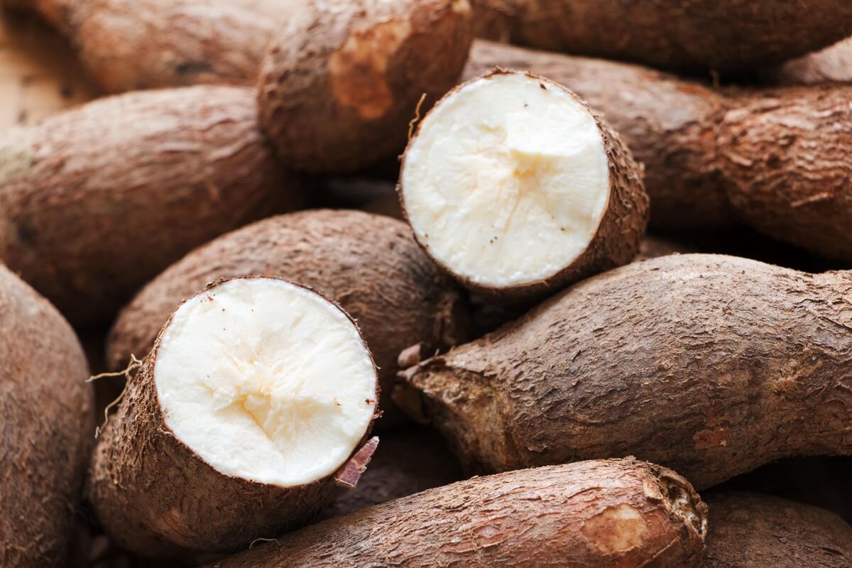 Cassava