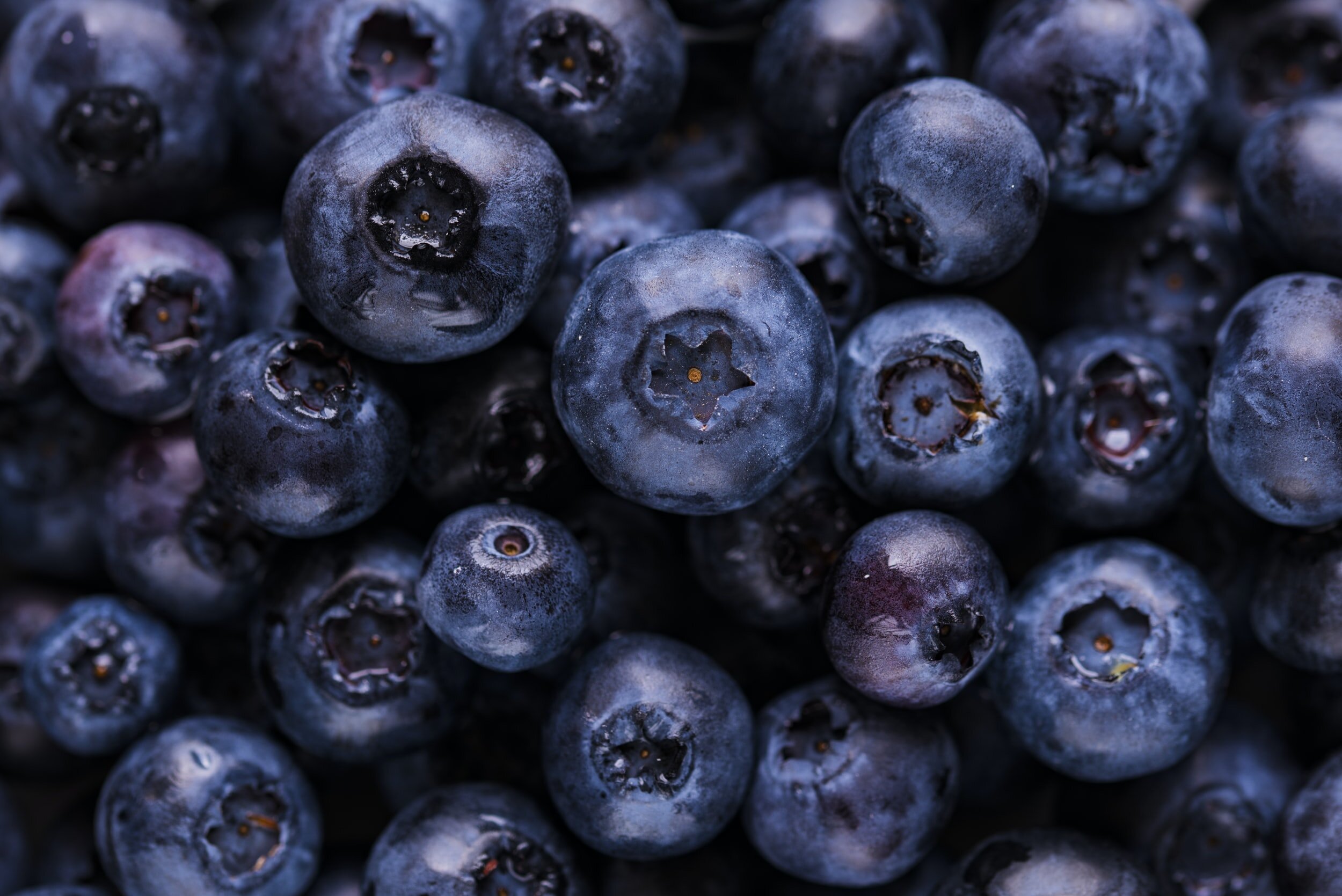 Blueberries