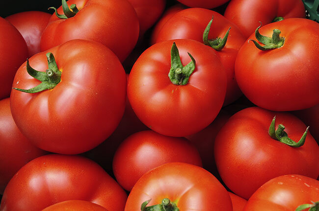 Round Tomatoes