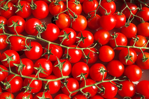 Cherry Vine Tomatoes