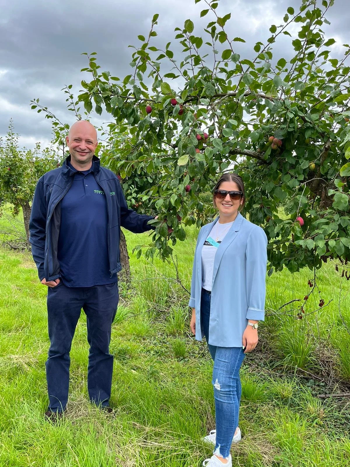 British Plums: Embracing The Benefits of Local Produce