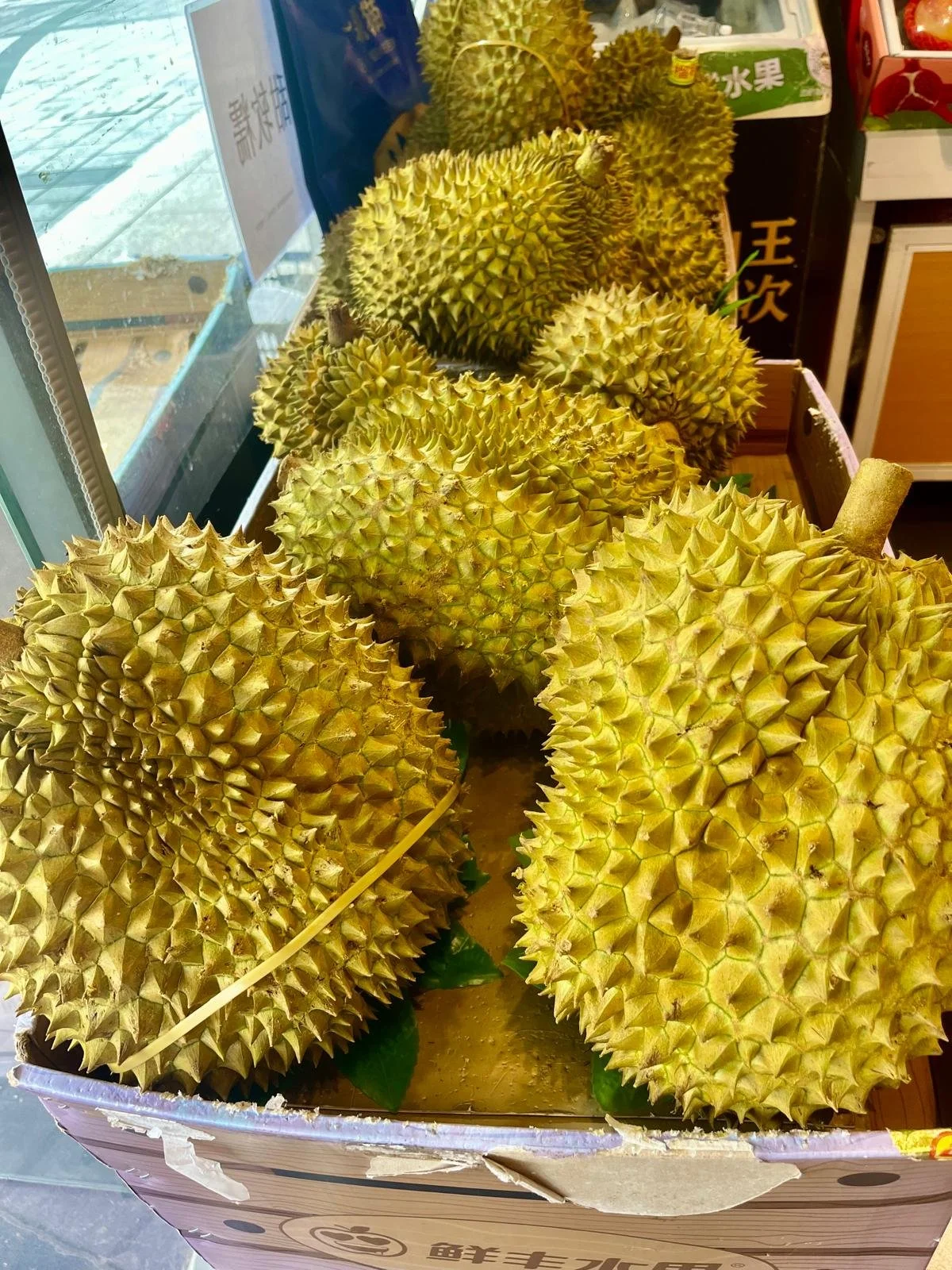 WhatsApp Image 2025-09-12 at 07.15.10.jpeg