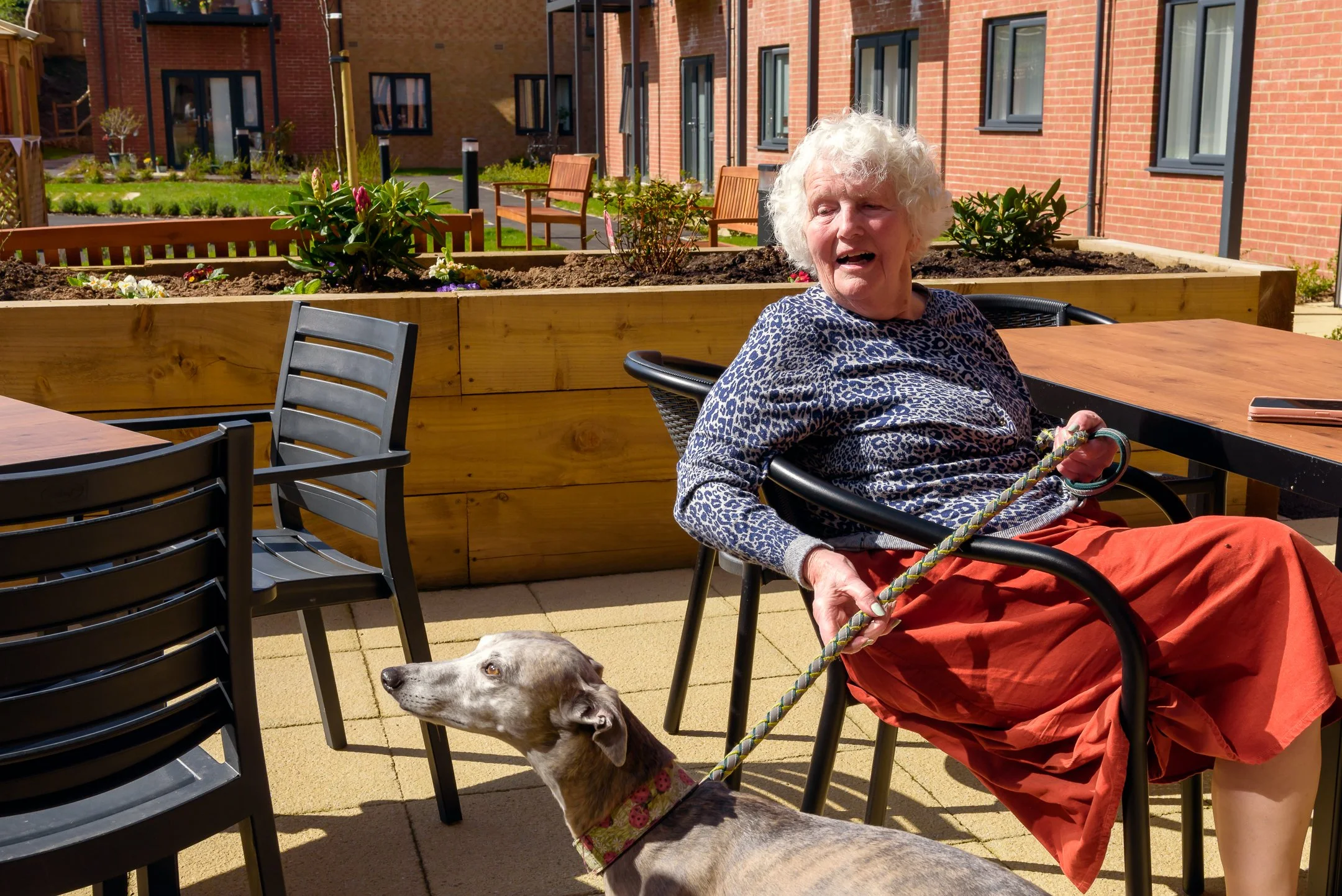 DSC_5634-Aldaniti_Court-Extra_Care.jpg