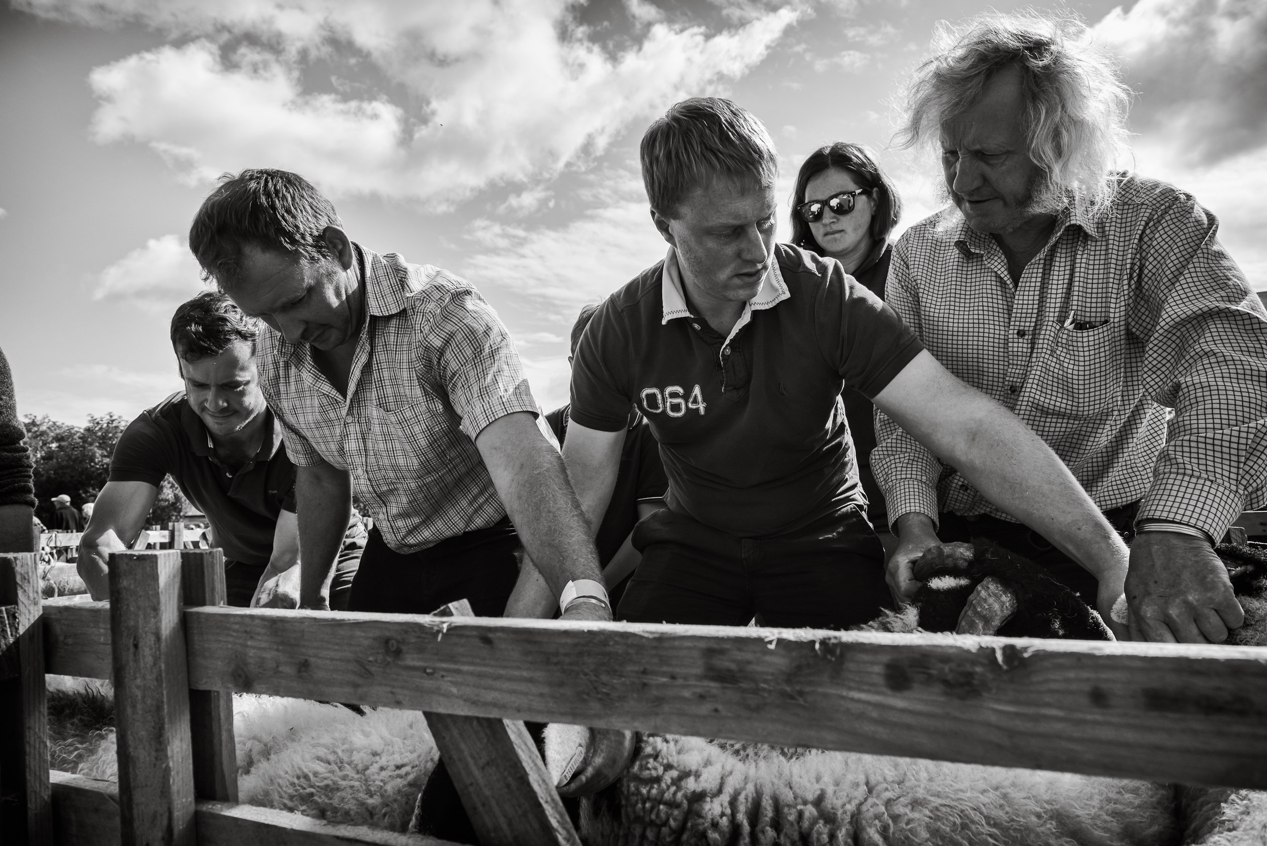 DSC_4304-Egton Show.jpg