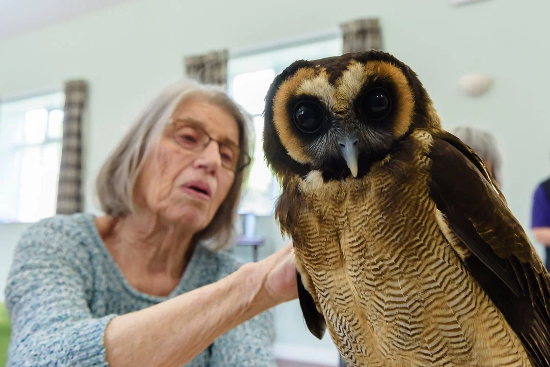 Revival_Danby_Whitby_Falconers-DSC_2436.jpg