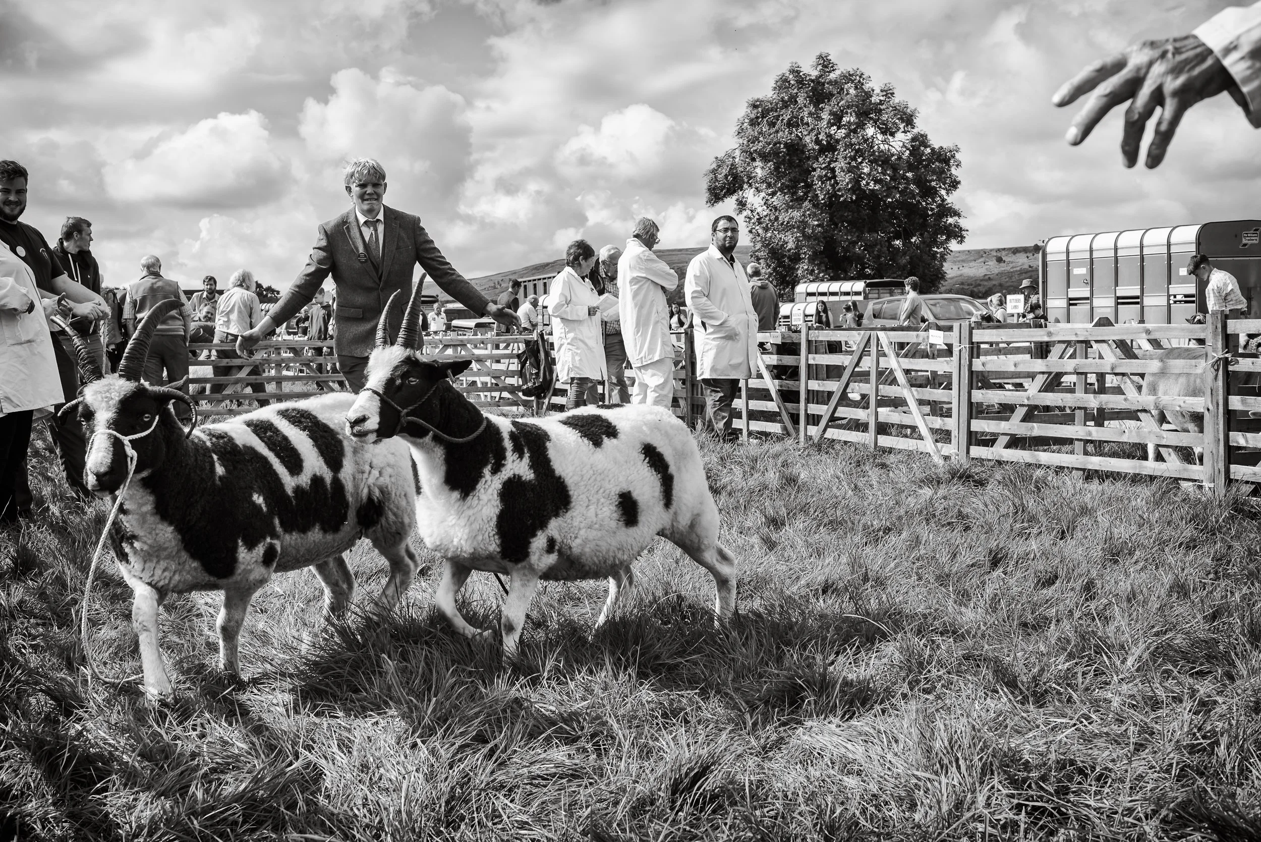 DSC_3934-Danby Show.jpg